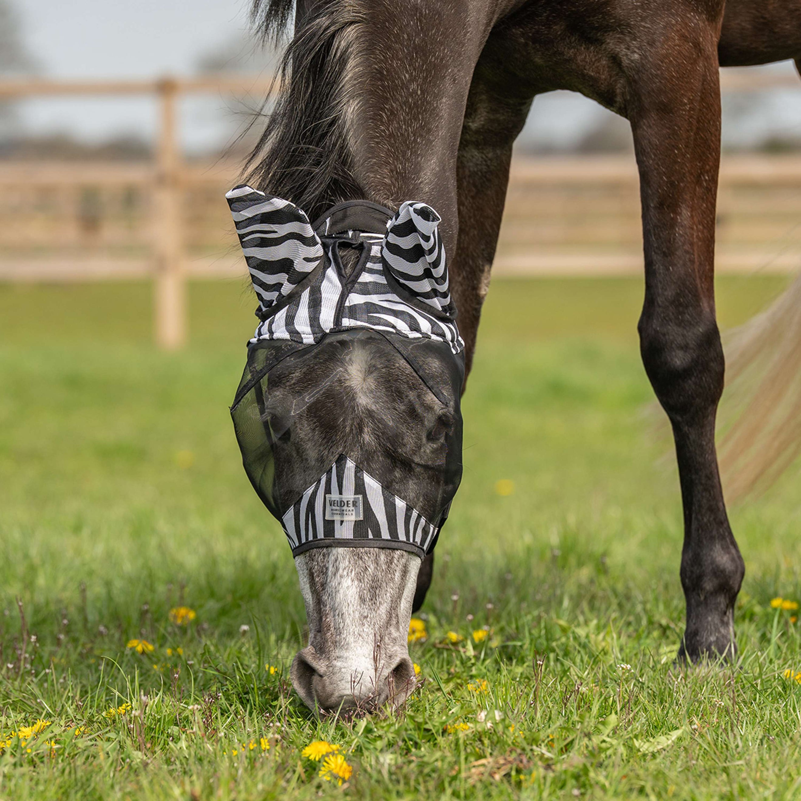 Velder Horsewear Fliegenmaske Zebra mit Ohren Schwarz/Weiß Velder Horsewear Fliegenmaske Zebra mit Ohren Schwarz/Weiß