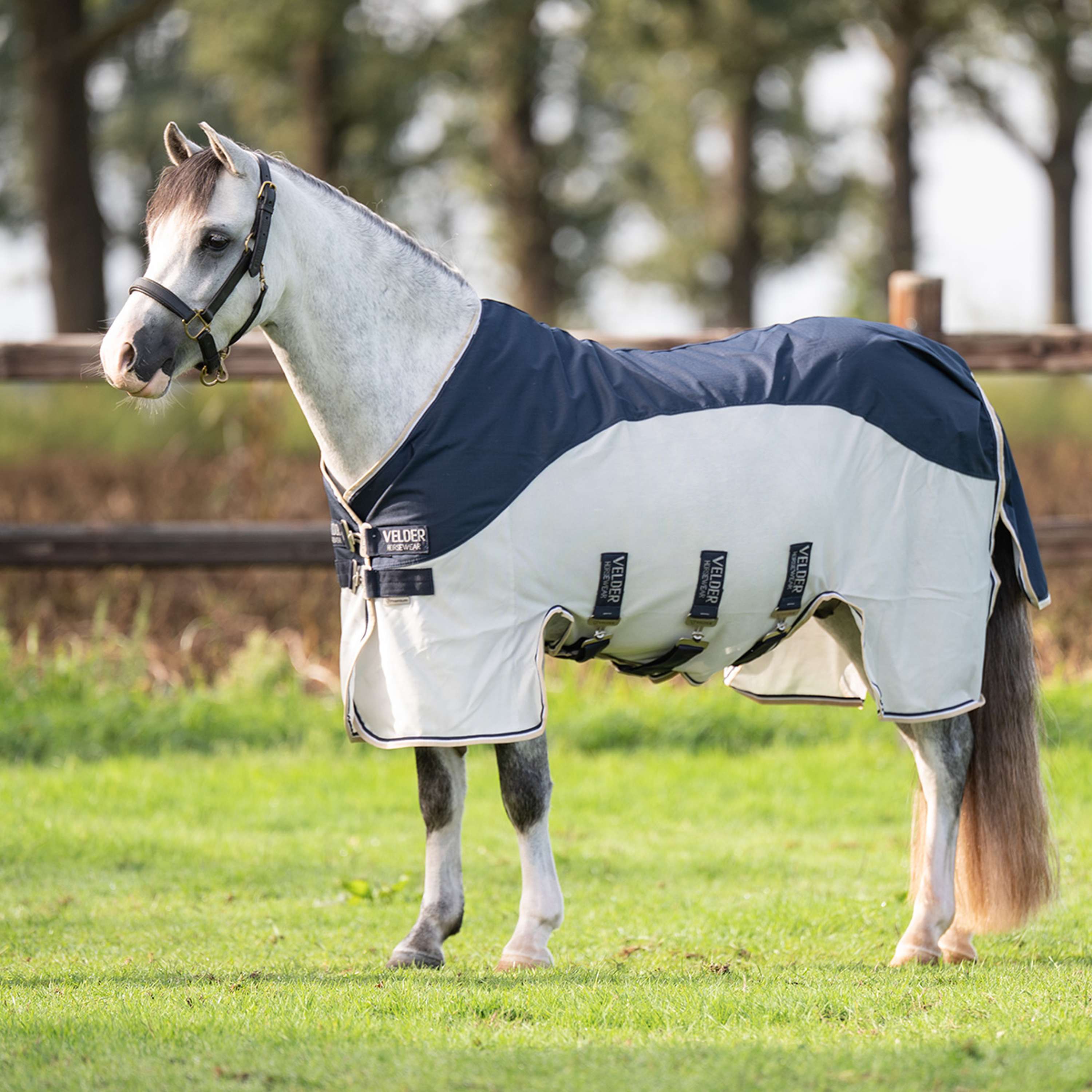 Velder Horsewear Premium Pony Fliegendecke Waterproof-Top Navy/Pearl Silver