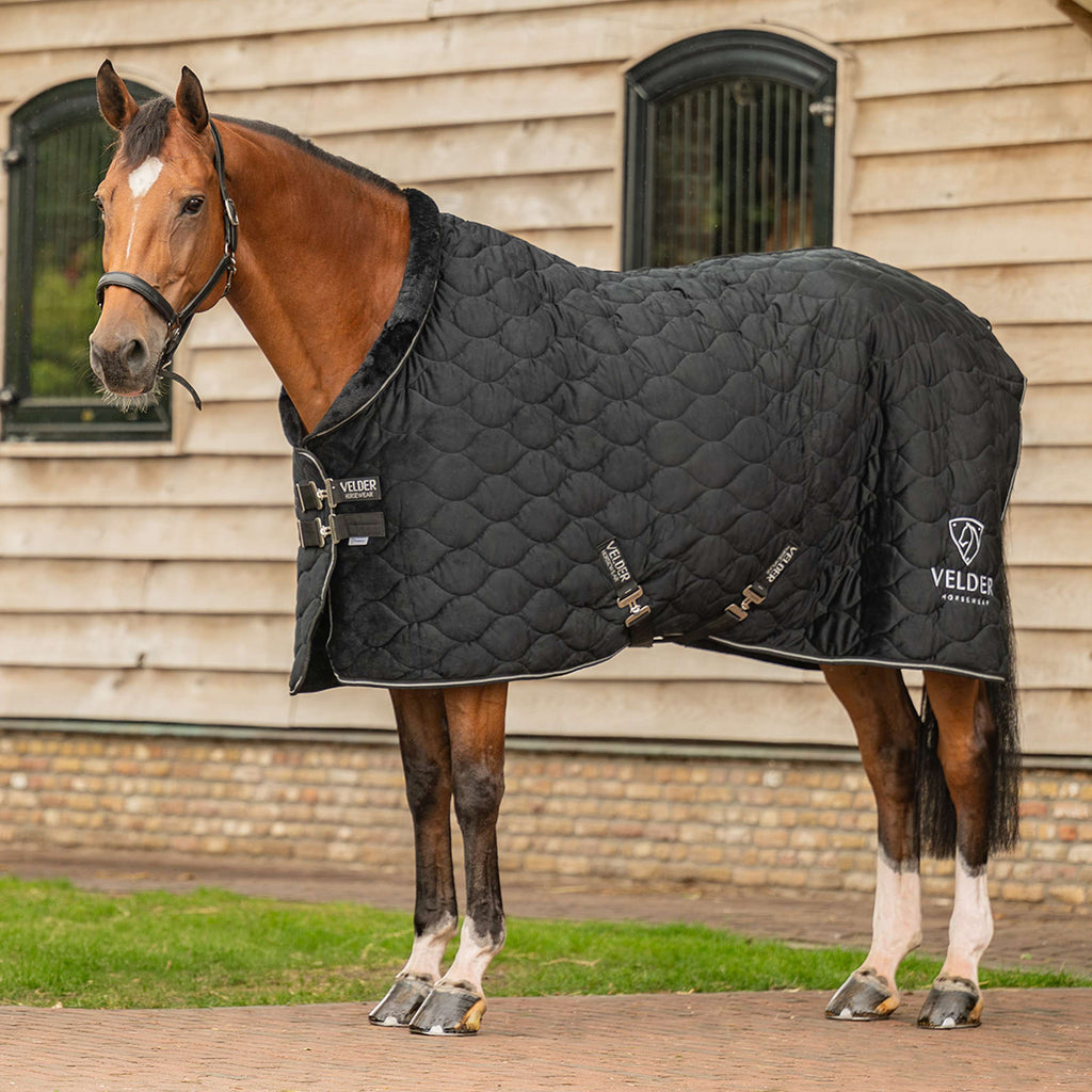 Velder Horsewear Premium Showdecke Satin Glow Black Night