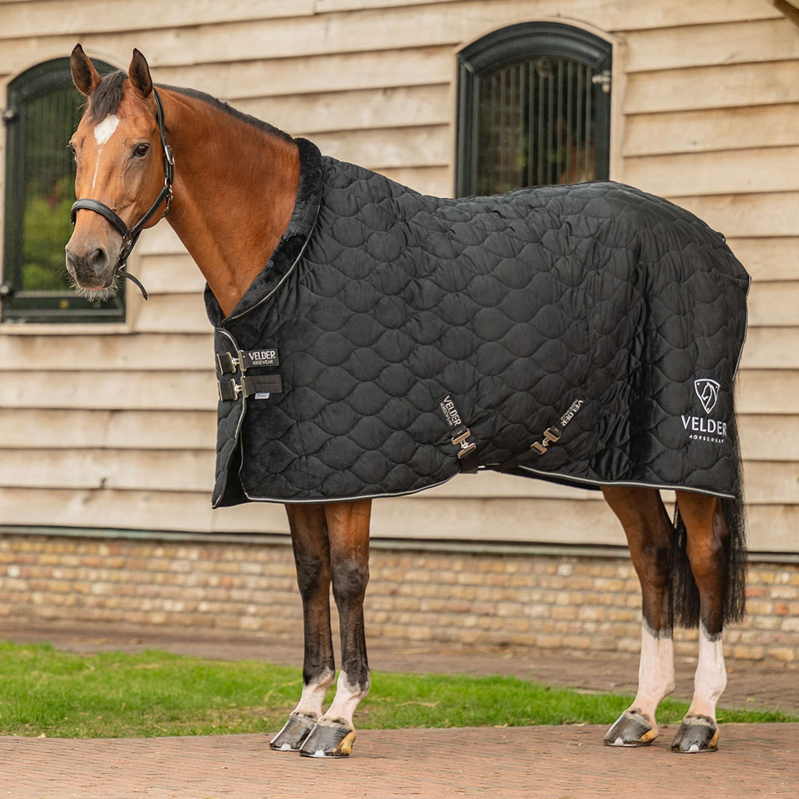 Velder Horsewear Premium Showdecke Satin Glow Black Night