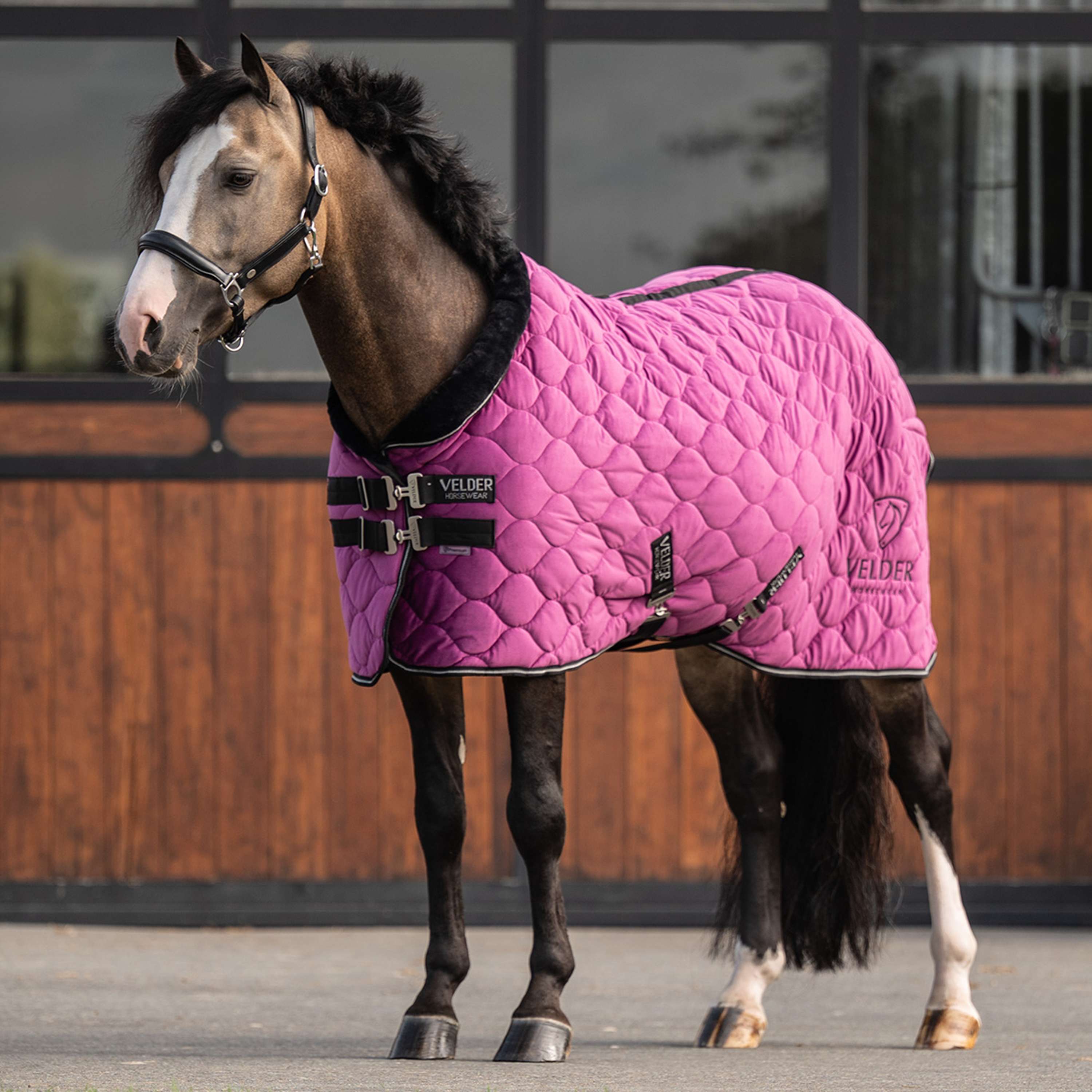 Velder Horsewear Premium Pony Showdecke Satin Glow Dutch Raspberry
