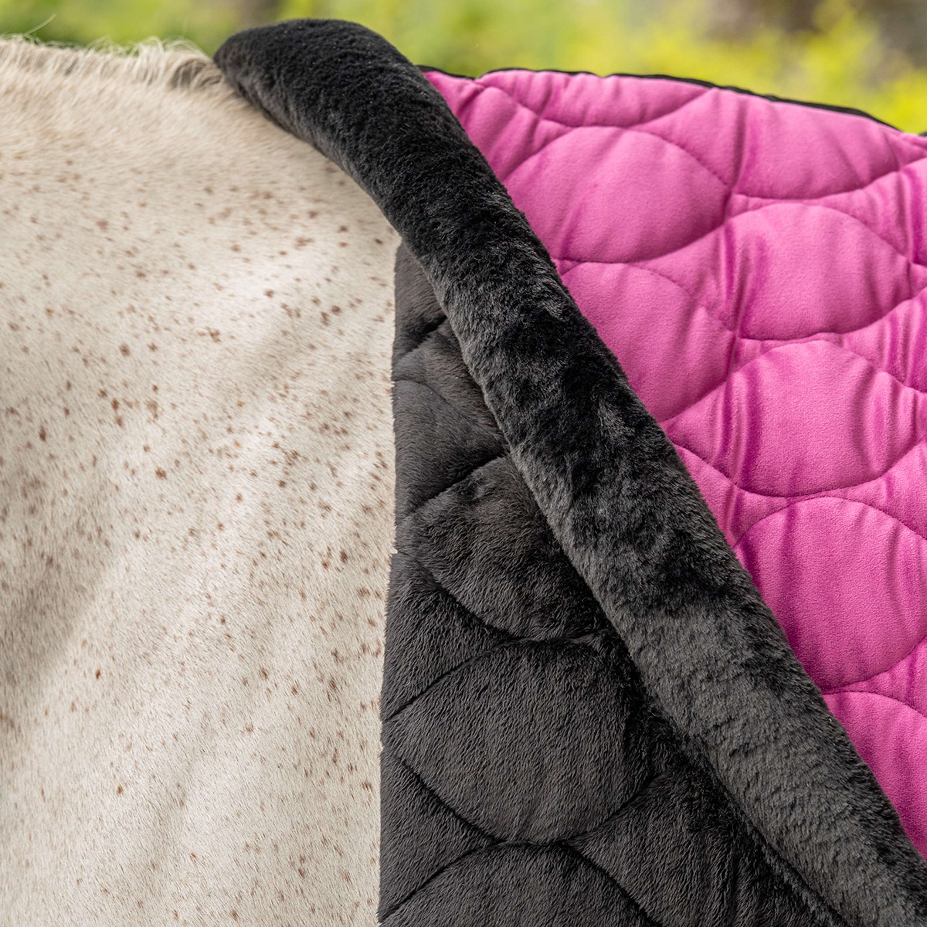 Velder Horsewear Premium Pony Showdecke Satin Glow Dutch Raspberry