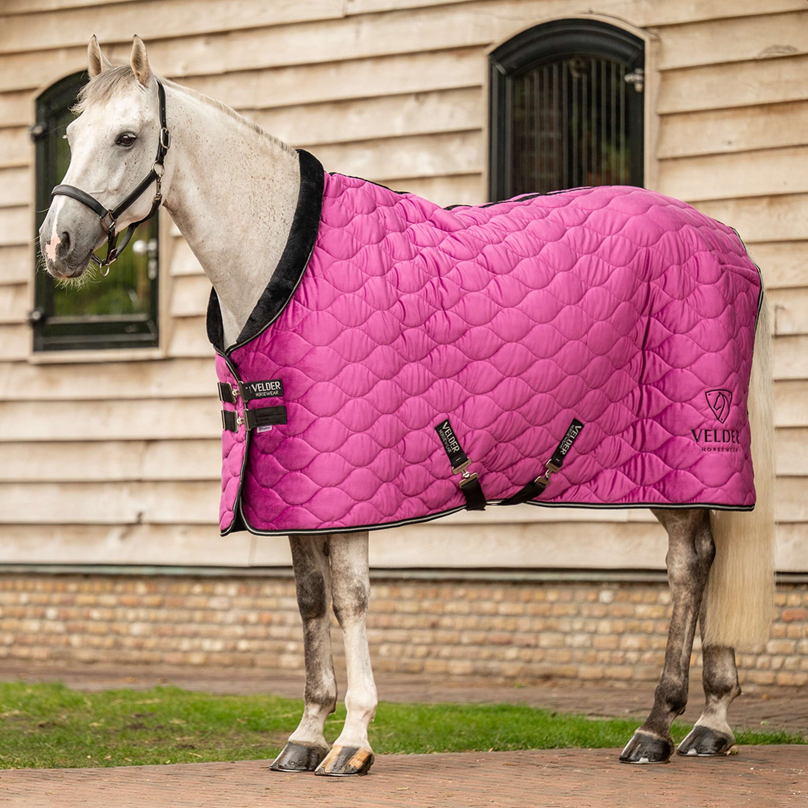 Velder Horsewear Premium Showdecke Satin Glow Dutch Raspberry