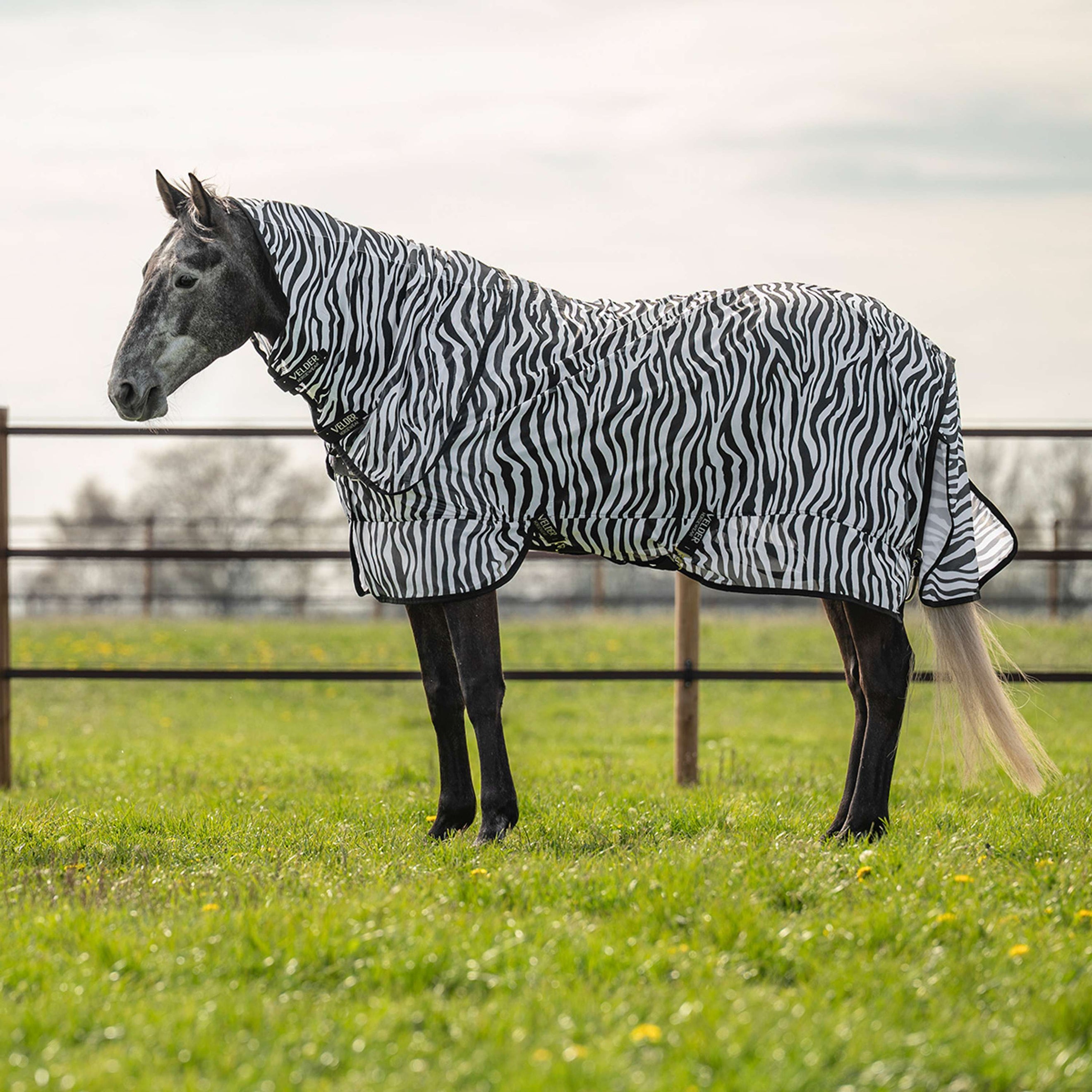 Velder Horsewear Fliegendecke mit Halsteil Zebra Schwarz/Weiß