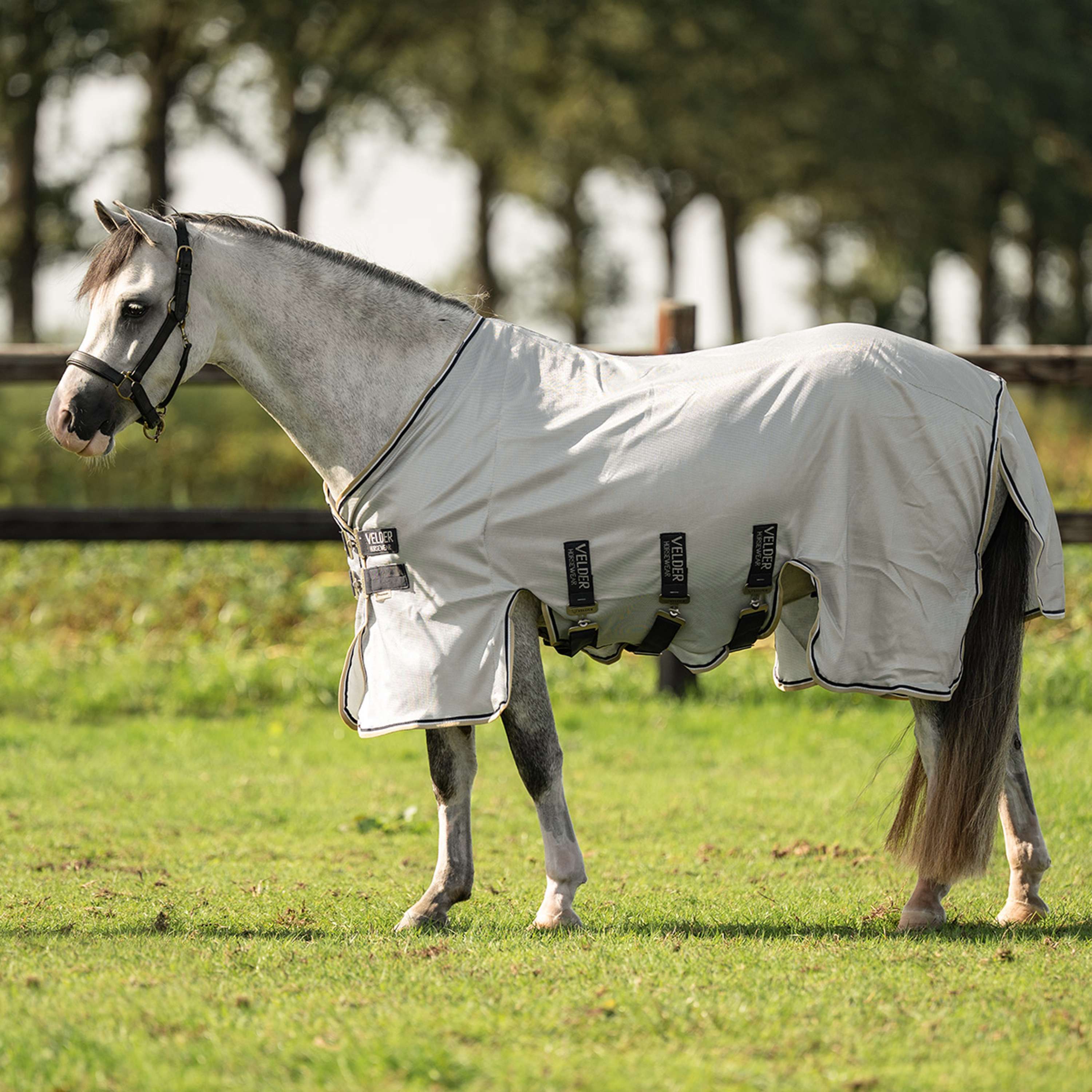 Velder Horsewear Premium Pony Fliegendecke Pearl Grey
