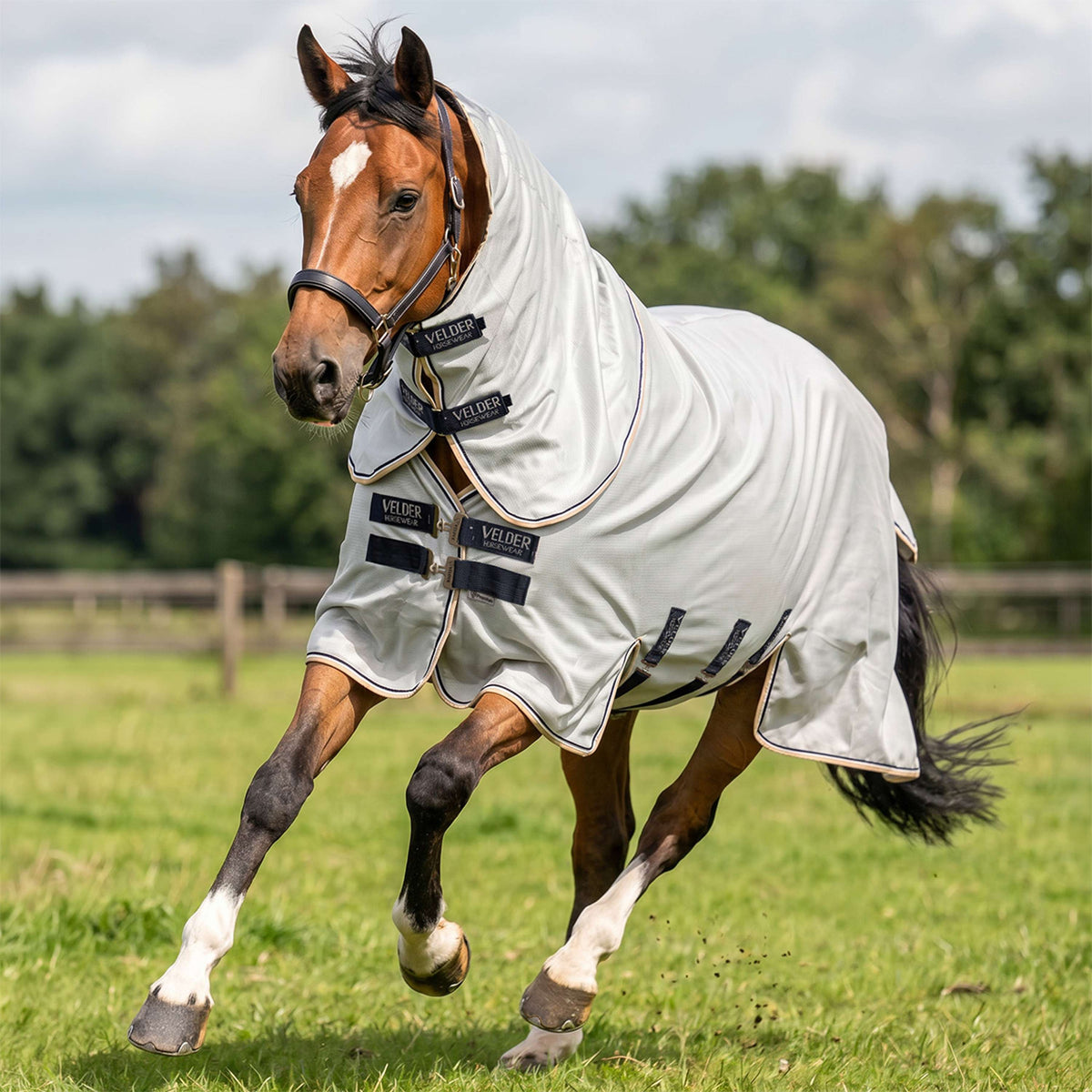 Velder Horsewear Premium Fliegendecke Pearl Grey