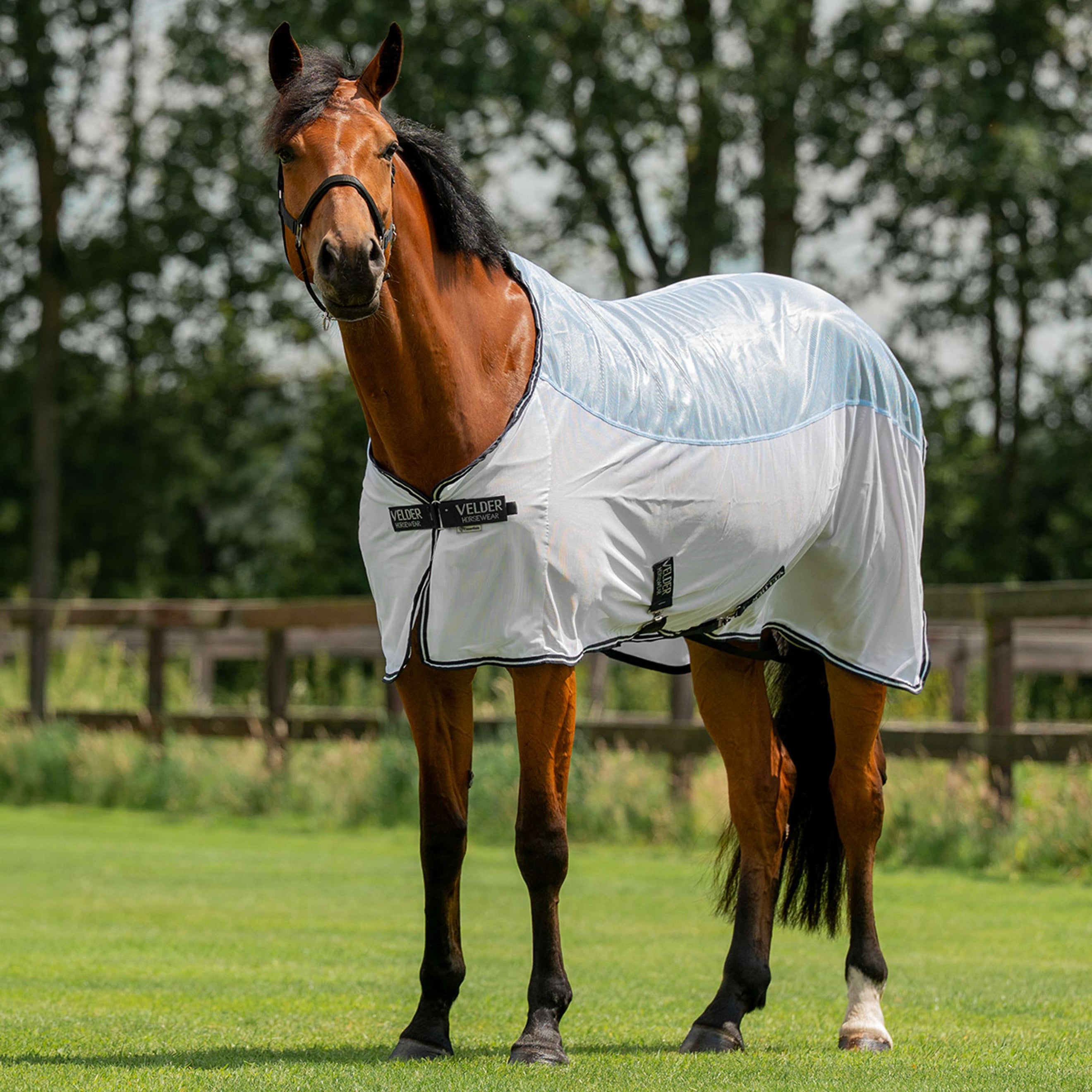 Velder Horsewear Essentials Fliegendecke Blush Blue