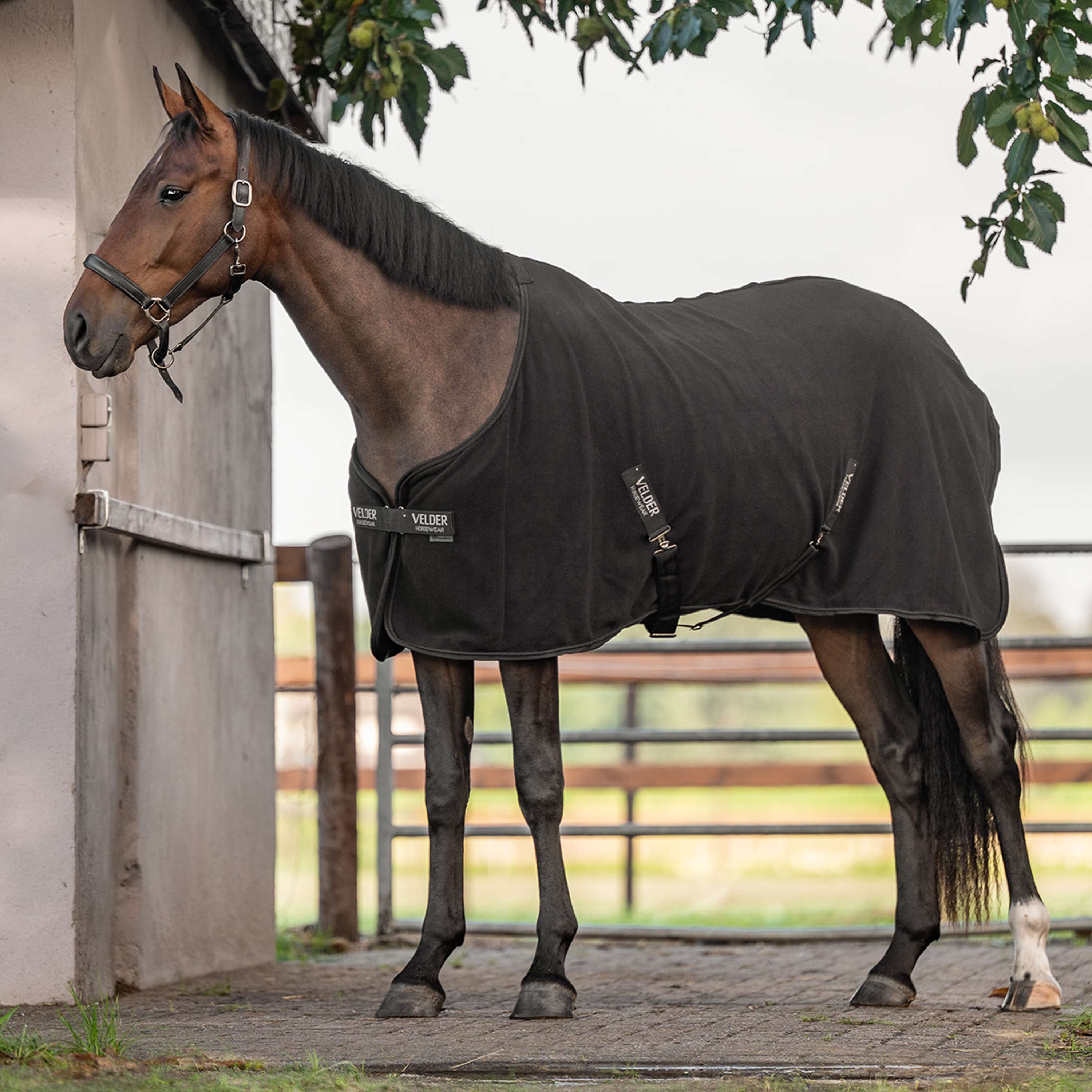 Velder Horsewear Essentials Fleecedecke Comfy Schwarz
