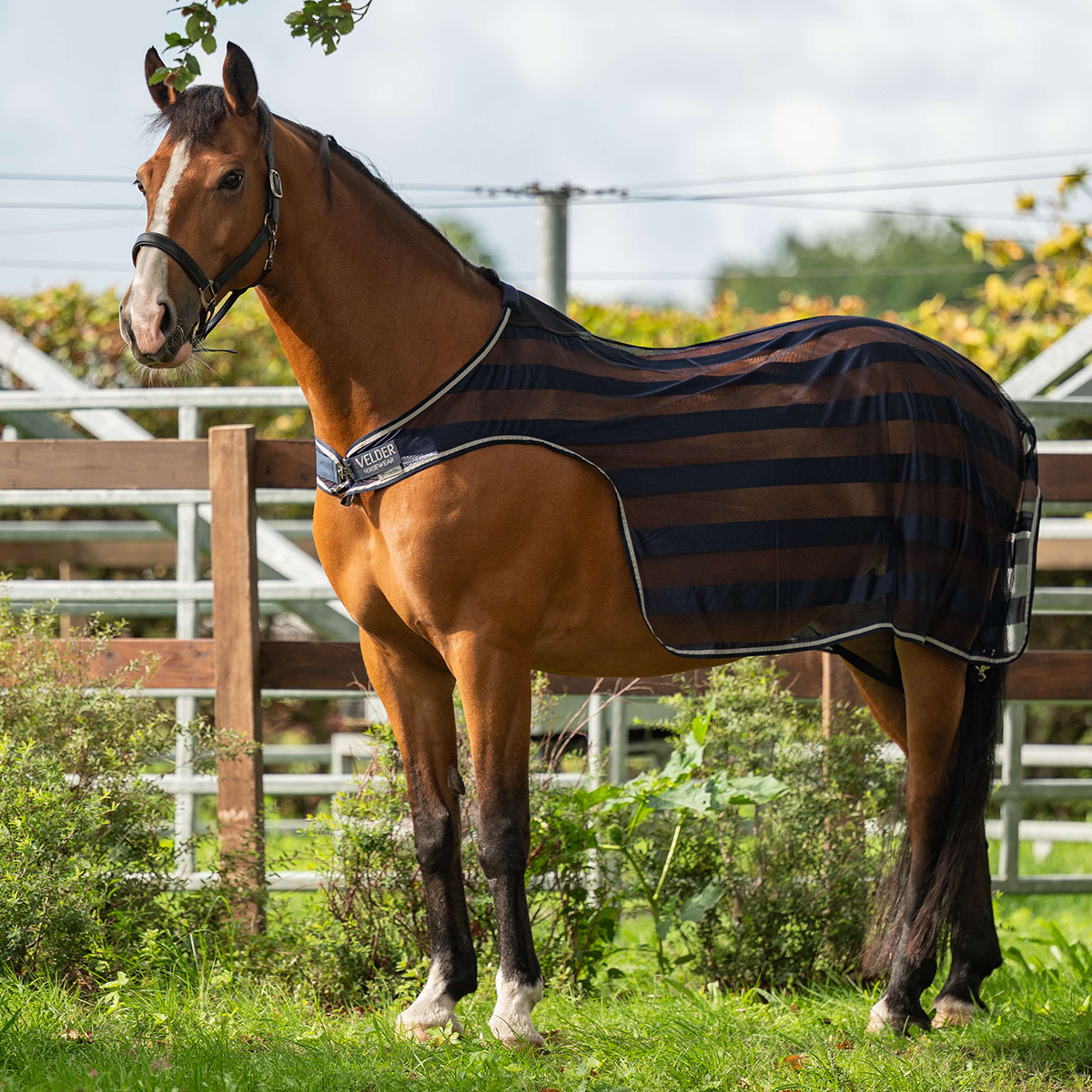 Velder Horsewear Essentials Führanlagendecke Navy