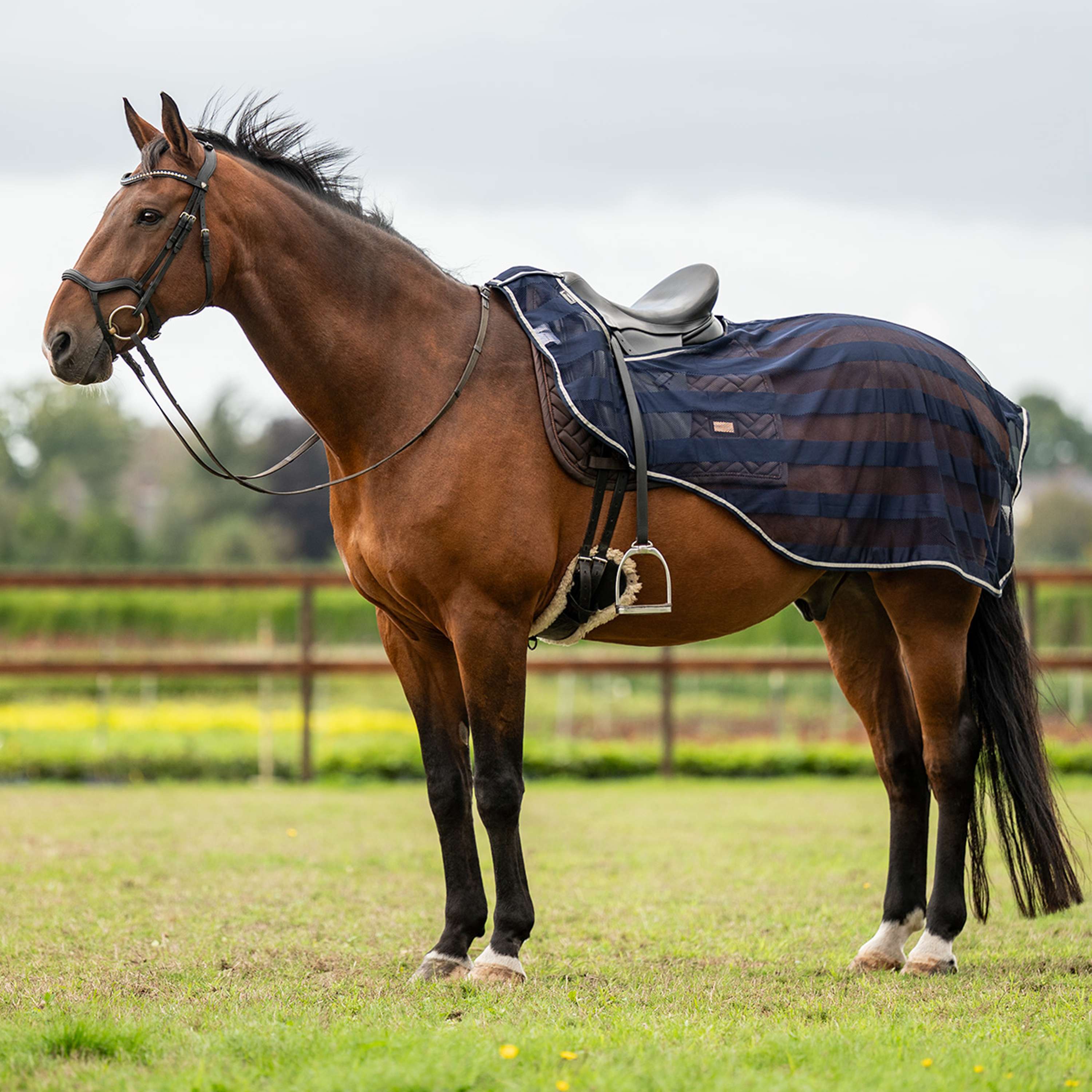 Velder Horsewear Essentials Ausreitdecke Navy
