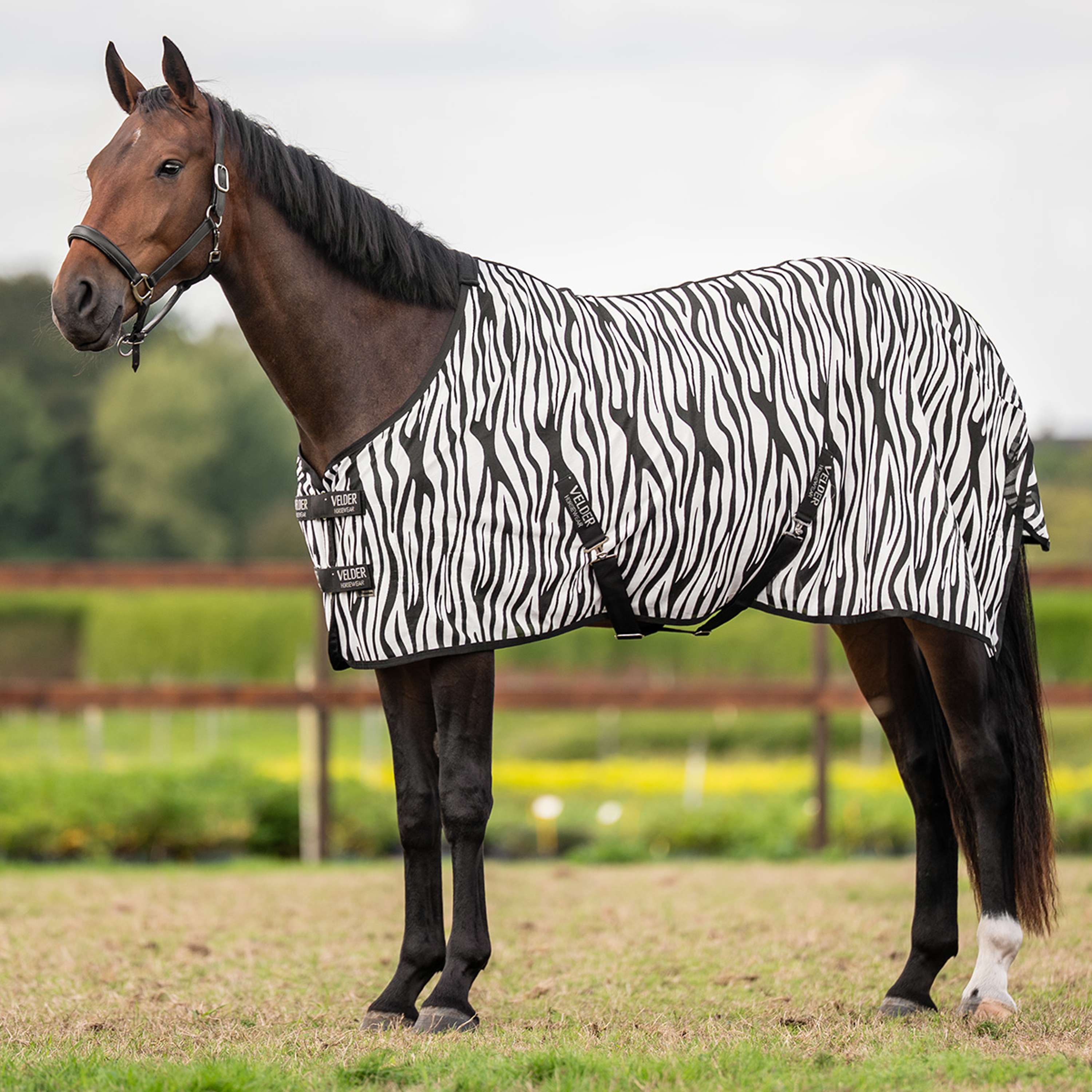 Velder Horsewear Essentials Fliegendecke Zebra Schwarz/Weiß