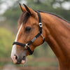 Velder Horsewear Essentials Halfter Basic Padded Schwarz