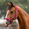 Velder Horsewear Essentials Halfter Basic Padded Boysenberry