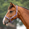 Velder Horsewear Essentials Halfter Basic Padded Purple Sage