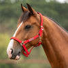 Velder Horsewear Essentials Halfter Basic Padded High Risk Red