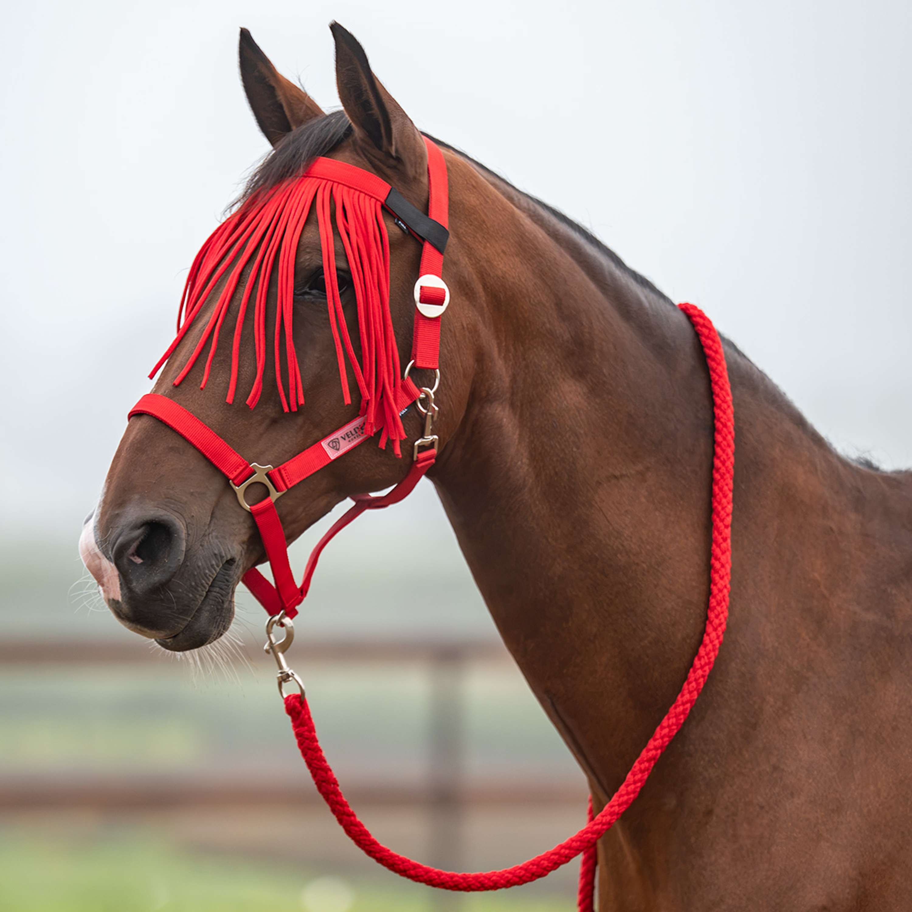 Velder Horsewear Essentials Halfterset Basic Summer High Risk Red