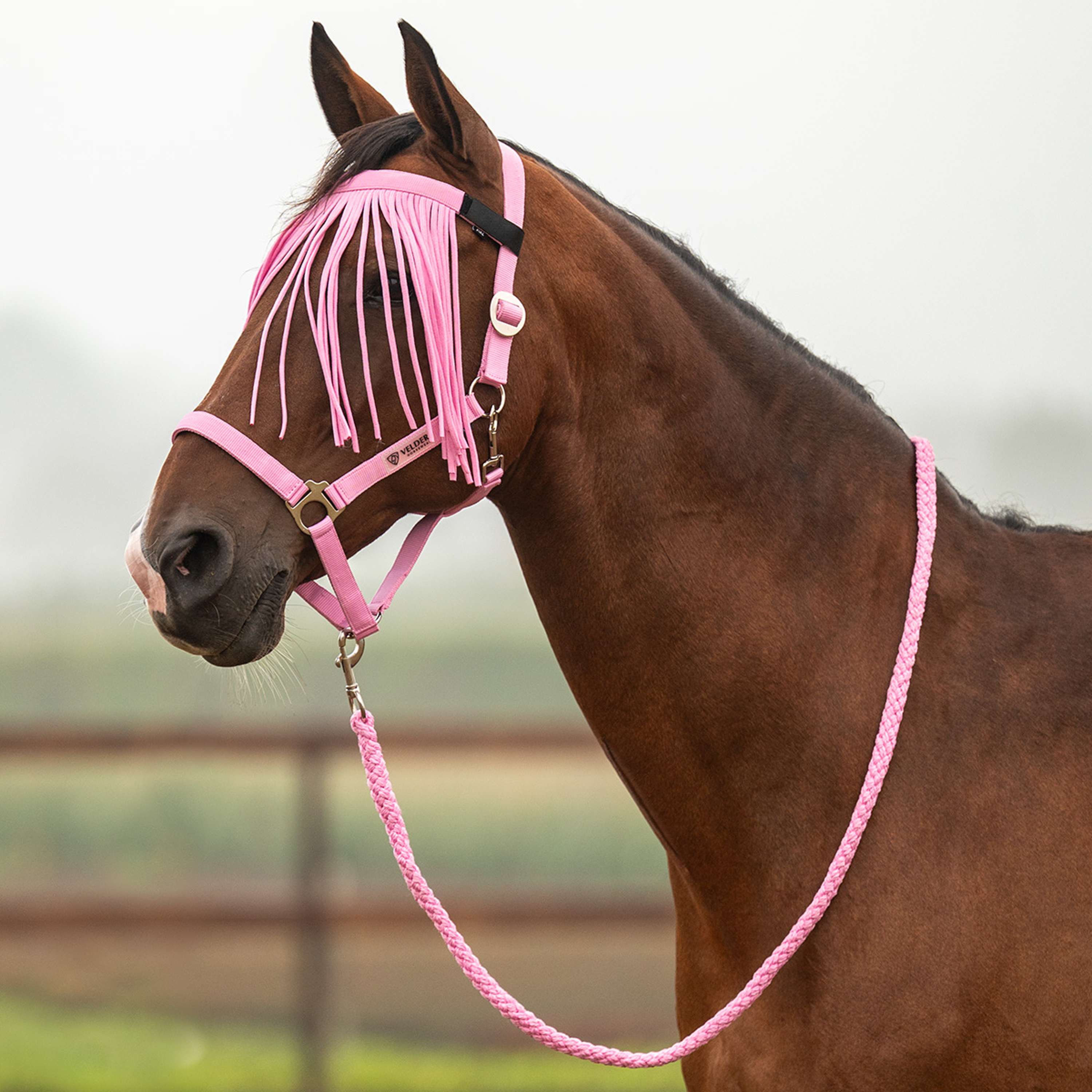 Velder Horsewear Essentials Halfterset Basic Summer Pop Pink