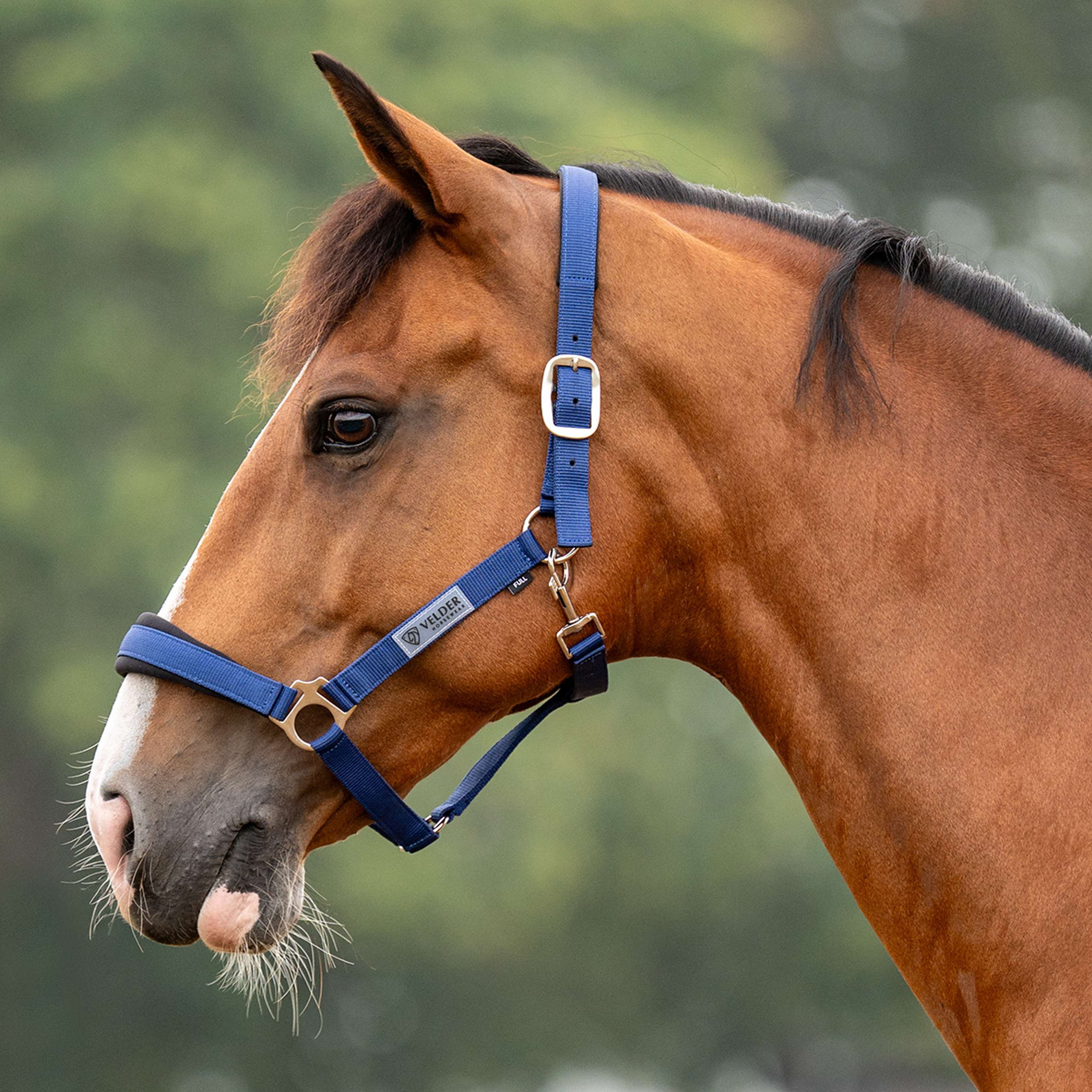 Velder Horsewear Essentials Halfter Basic Comfort Navy