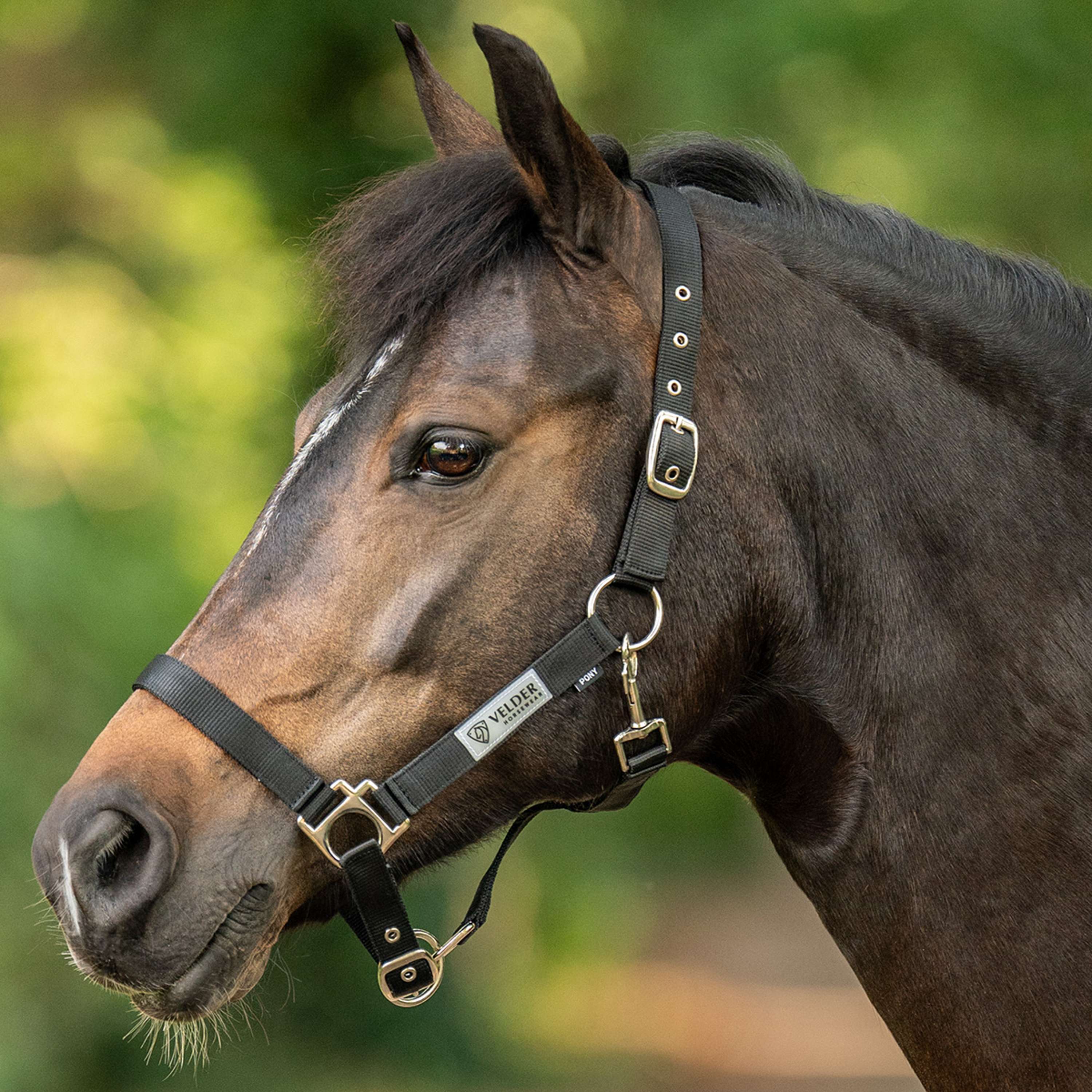 Velder Horsewear Essentials Halfter Triple Adjustable Schwarz