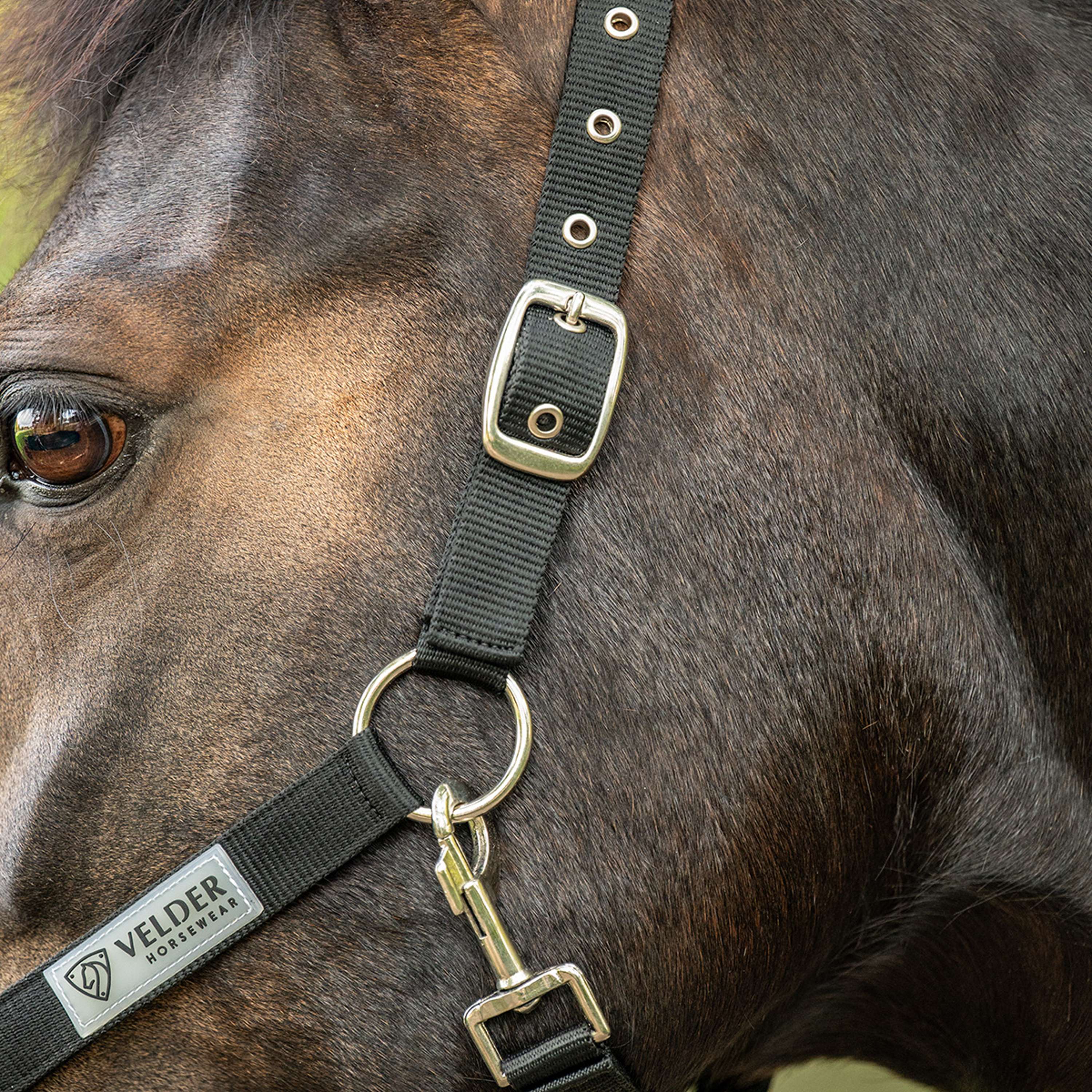 Velder Horsewear Essentials Halfter Triple Adjustable Schwarz