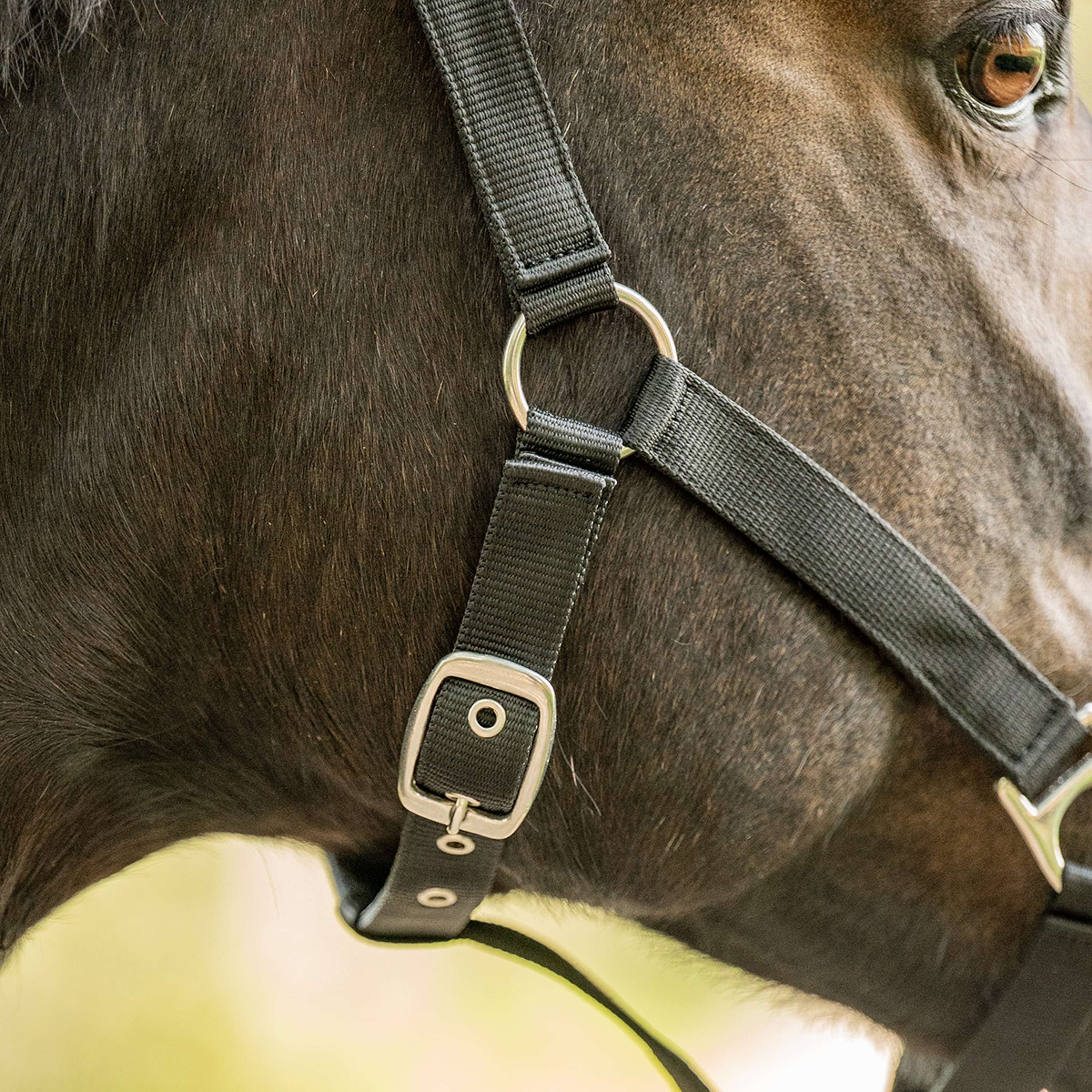 Velder Horsewear Essentials Halfter Triple Adjustable Schwarz