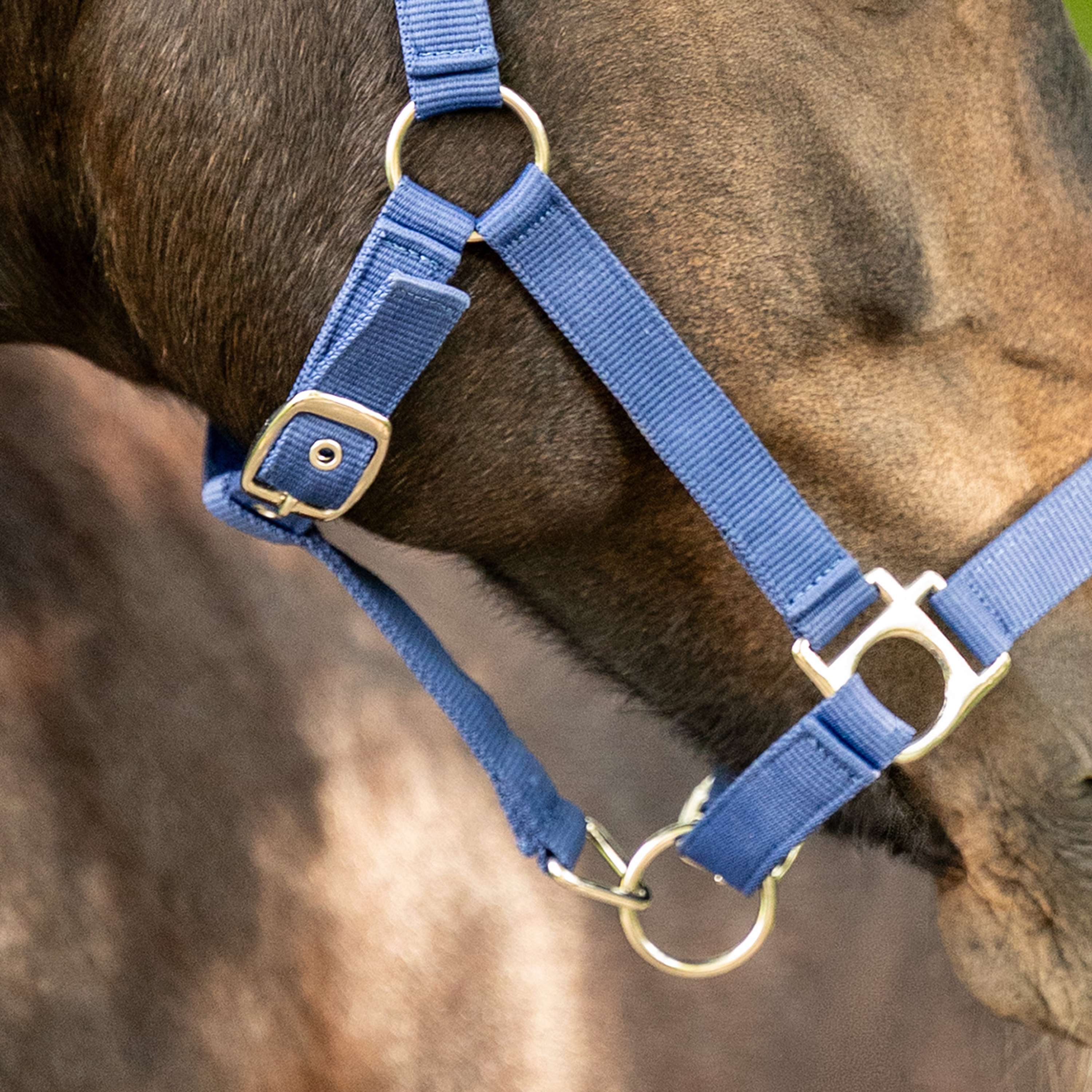 Velder Horsewear Essentials Halfter Triple Adjustable Navy