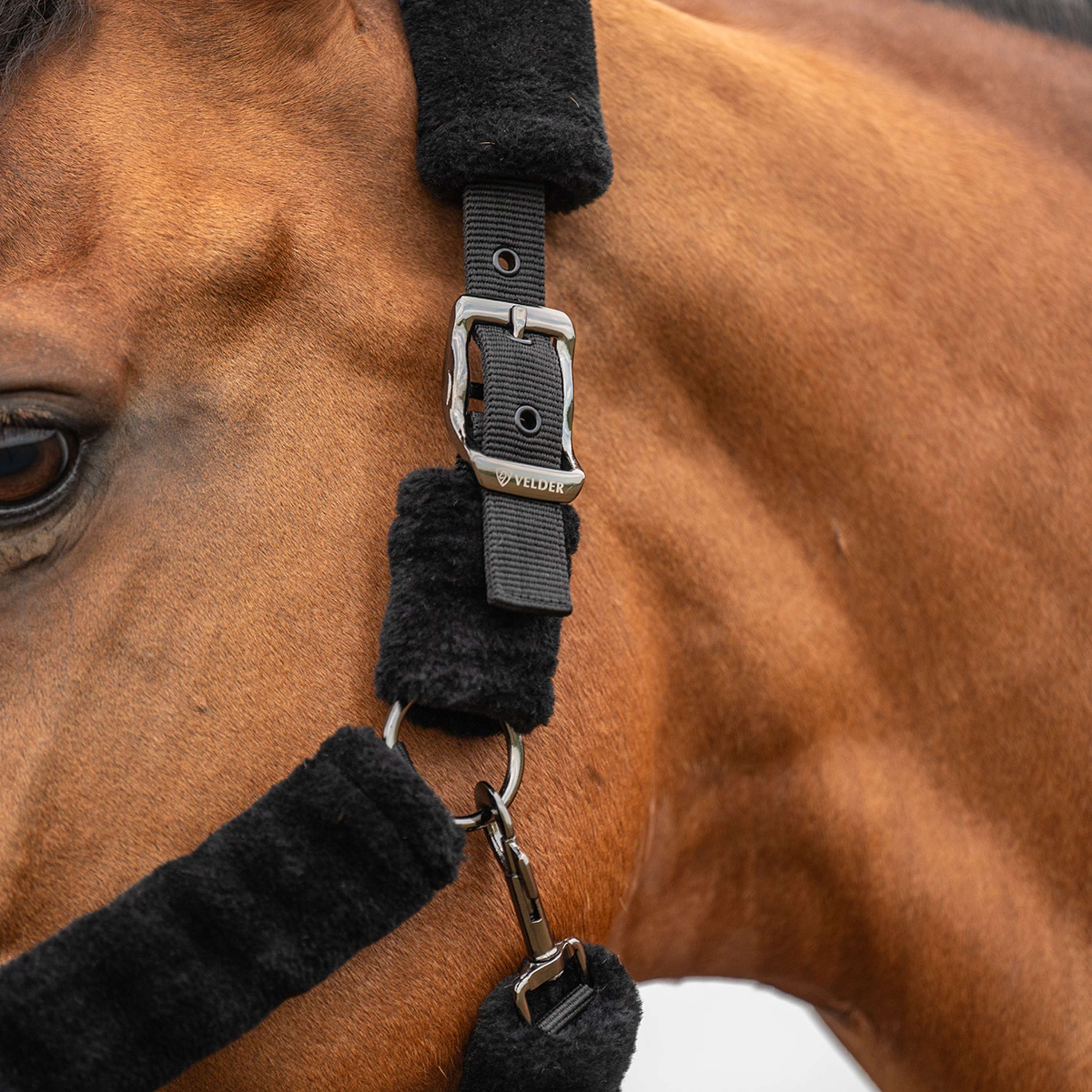 Velder Horsewear Premium Halfter Comfort Fur Schwarz