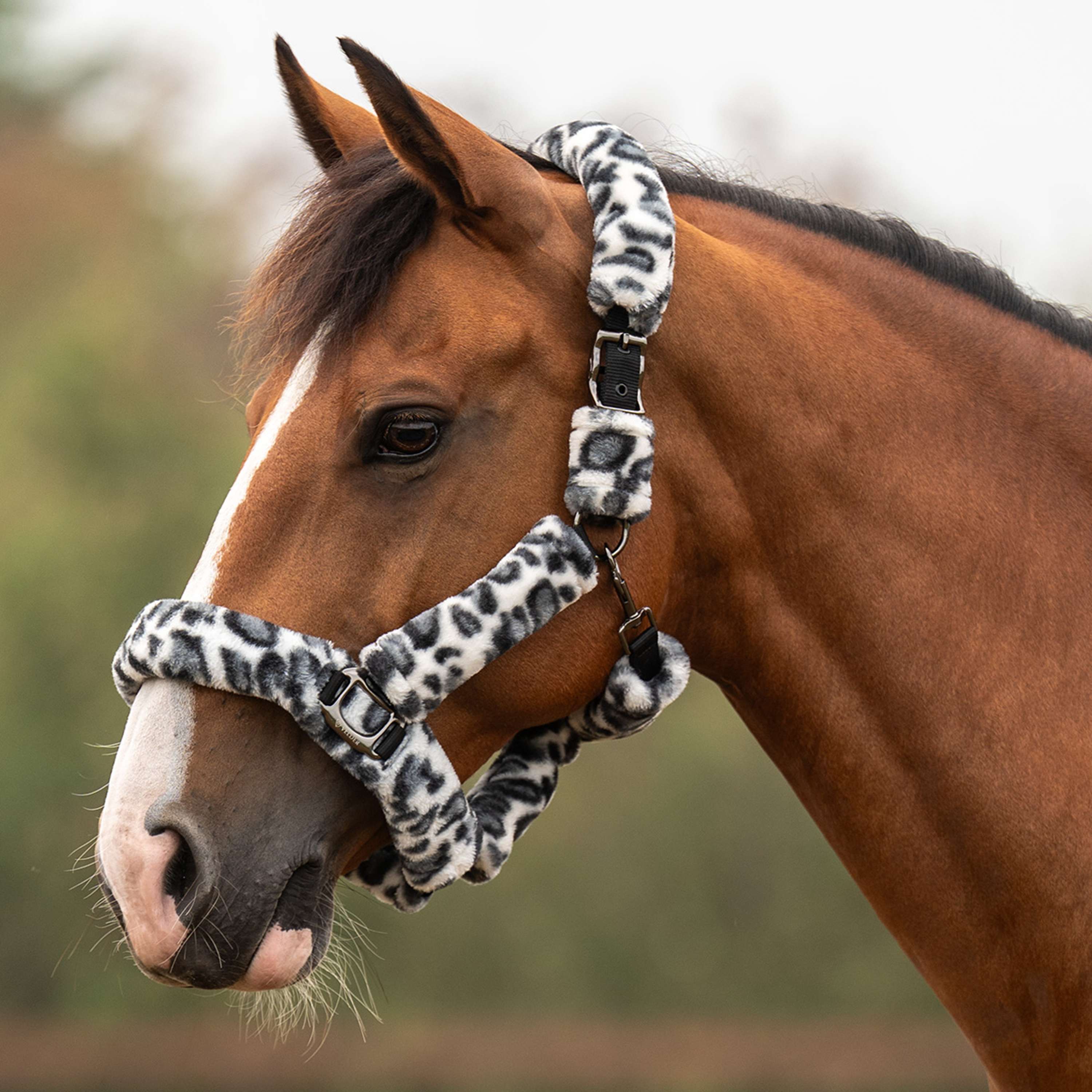 Velder Horsewear Premium Halfter Comfort Fur Snow Leopard Grau