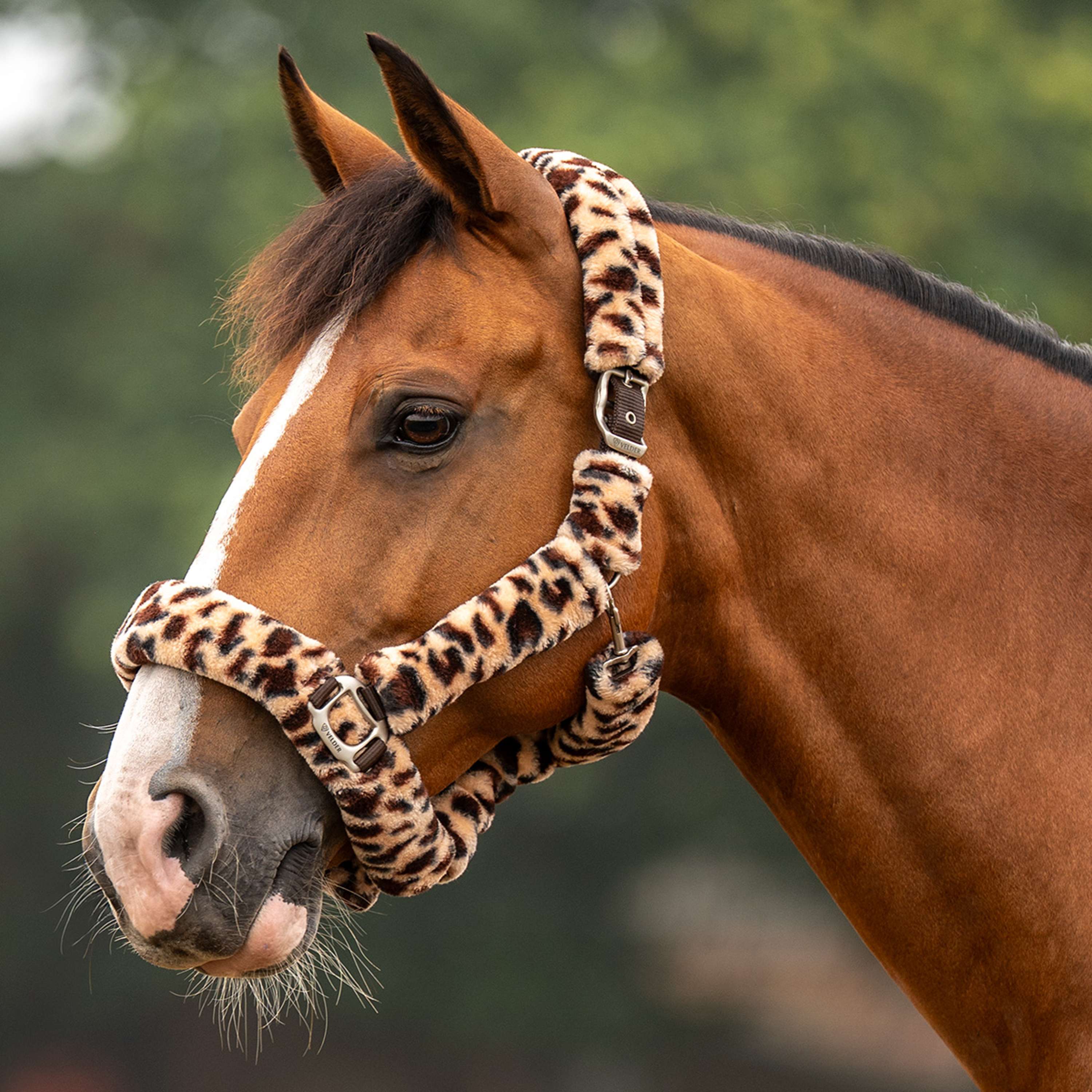 Velder Horsewear Premium Halfter Comfort Fur Snow Leopard Braun