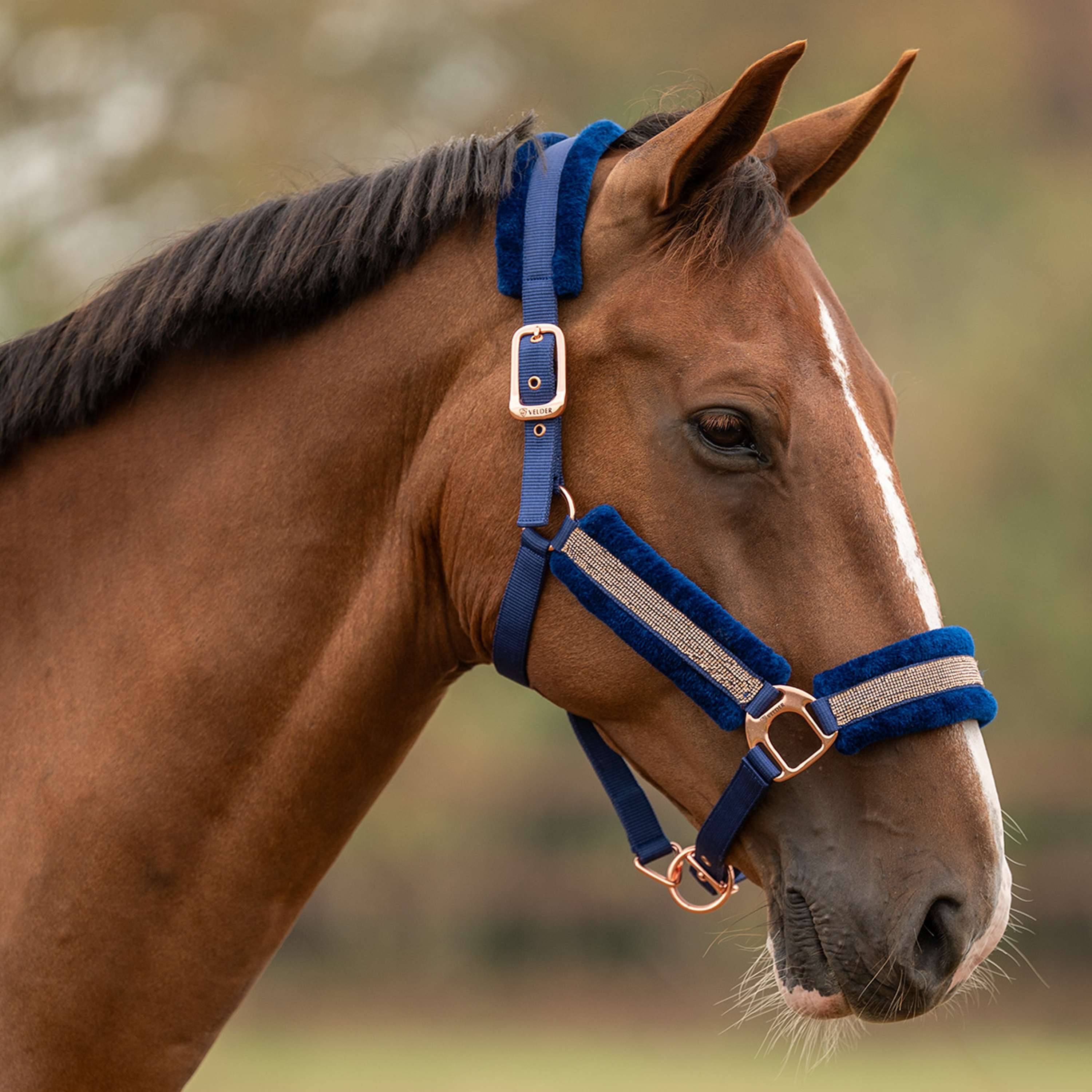 Velder Horsewear Essentials Halfter Soft Sparkle Navy