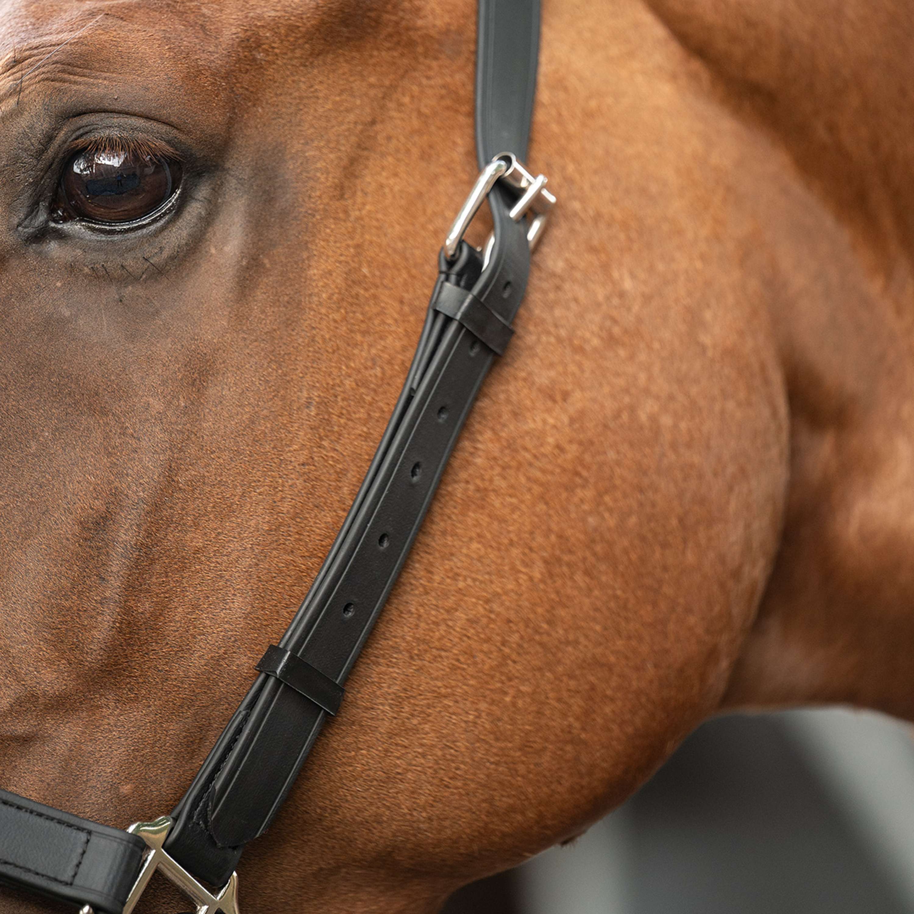 Velder Horsewear Premium Halfter WashPro Schwarz
