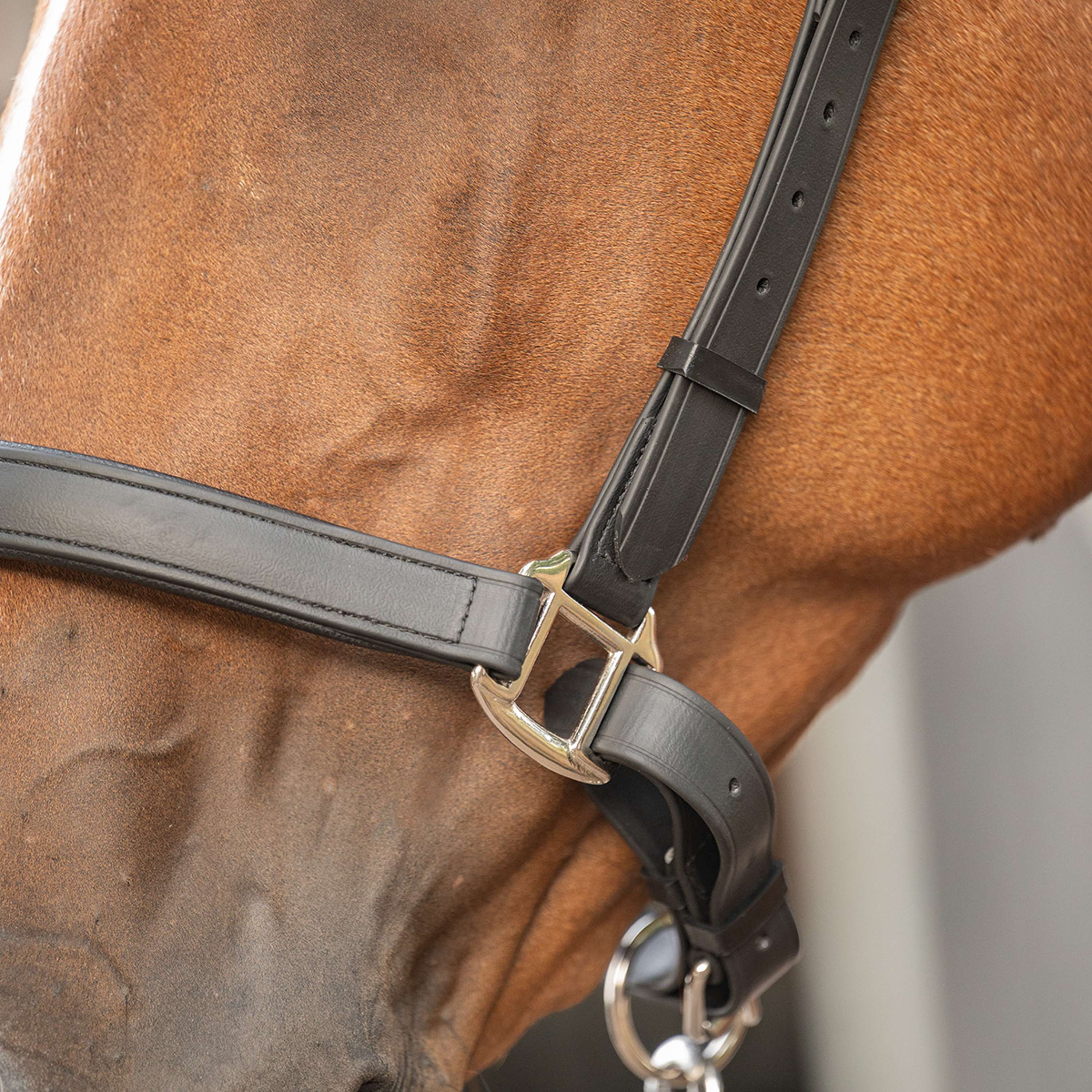 Velder Horsewear Premium Halfter WashPro Schwarz