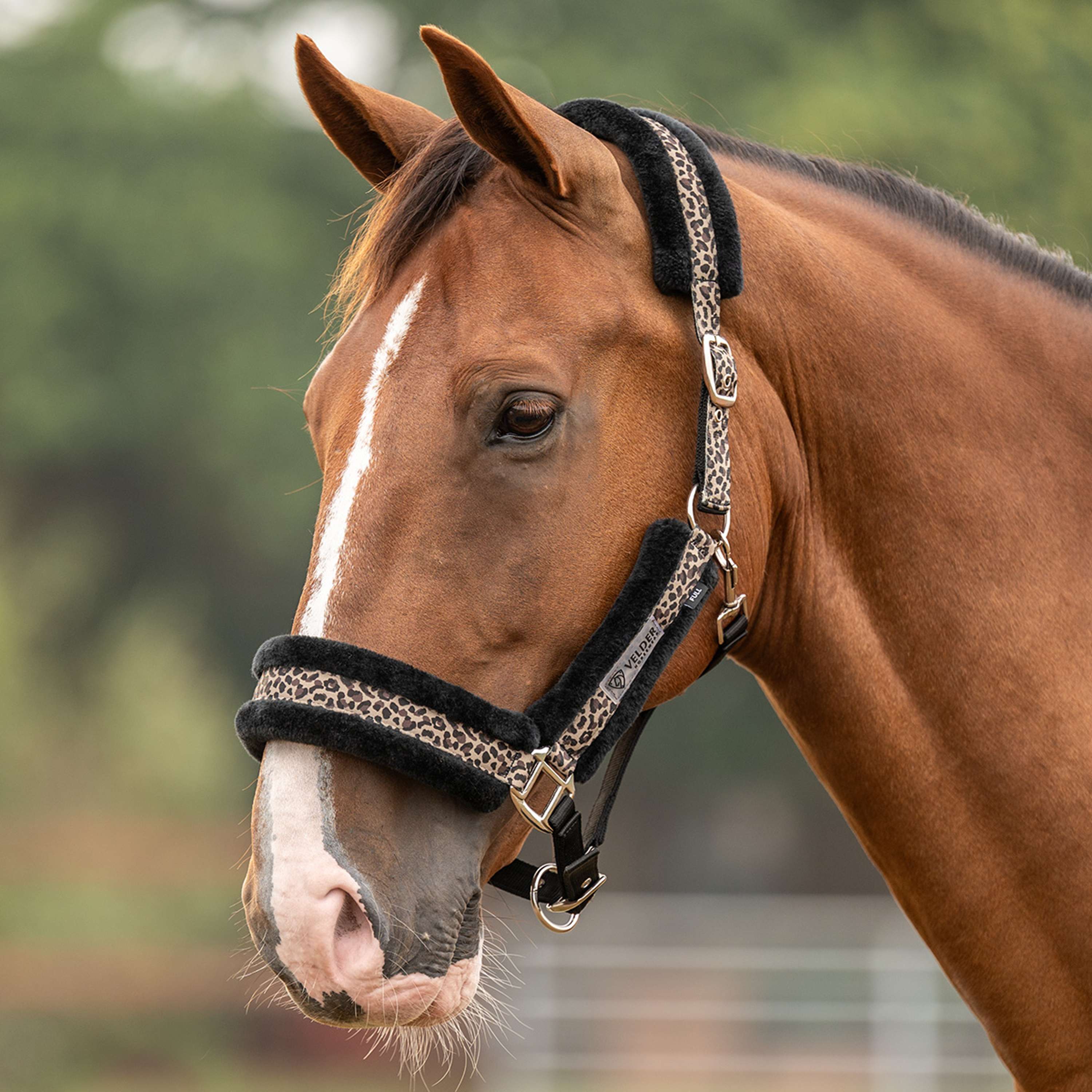 Velder Horsewear Essentials Halfter Savanna Soft Earth Leopard