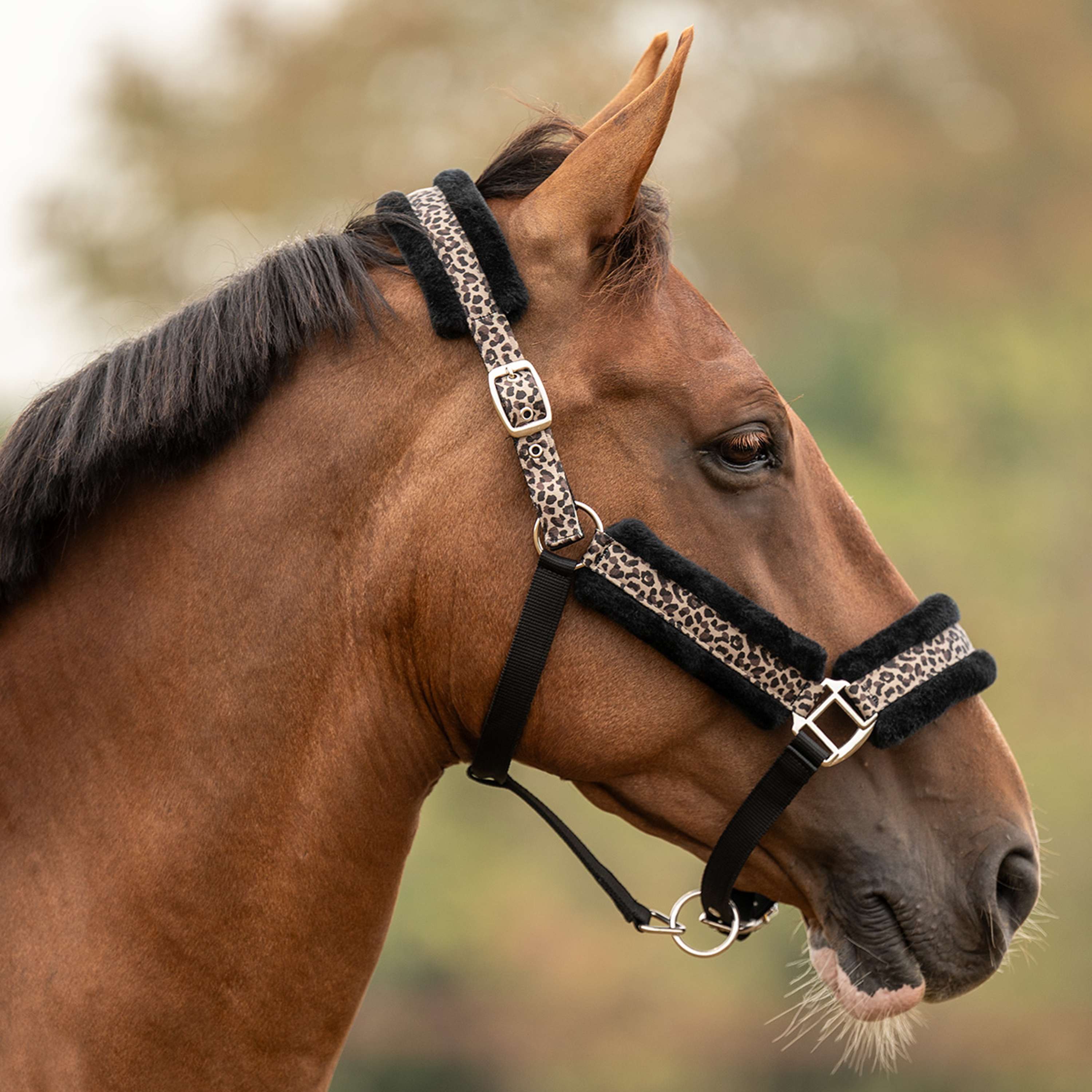 Velder Horsewear Essentials Halfter Savanna Soft Earth Leopard