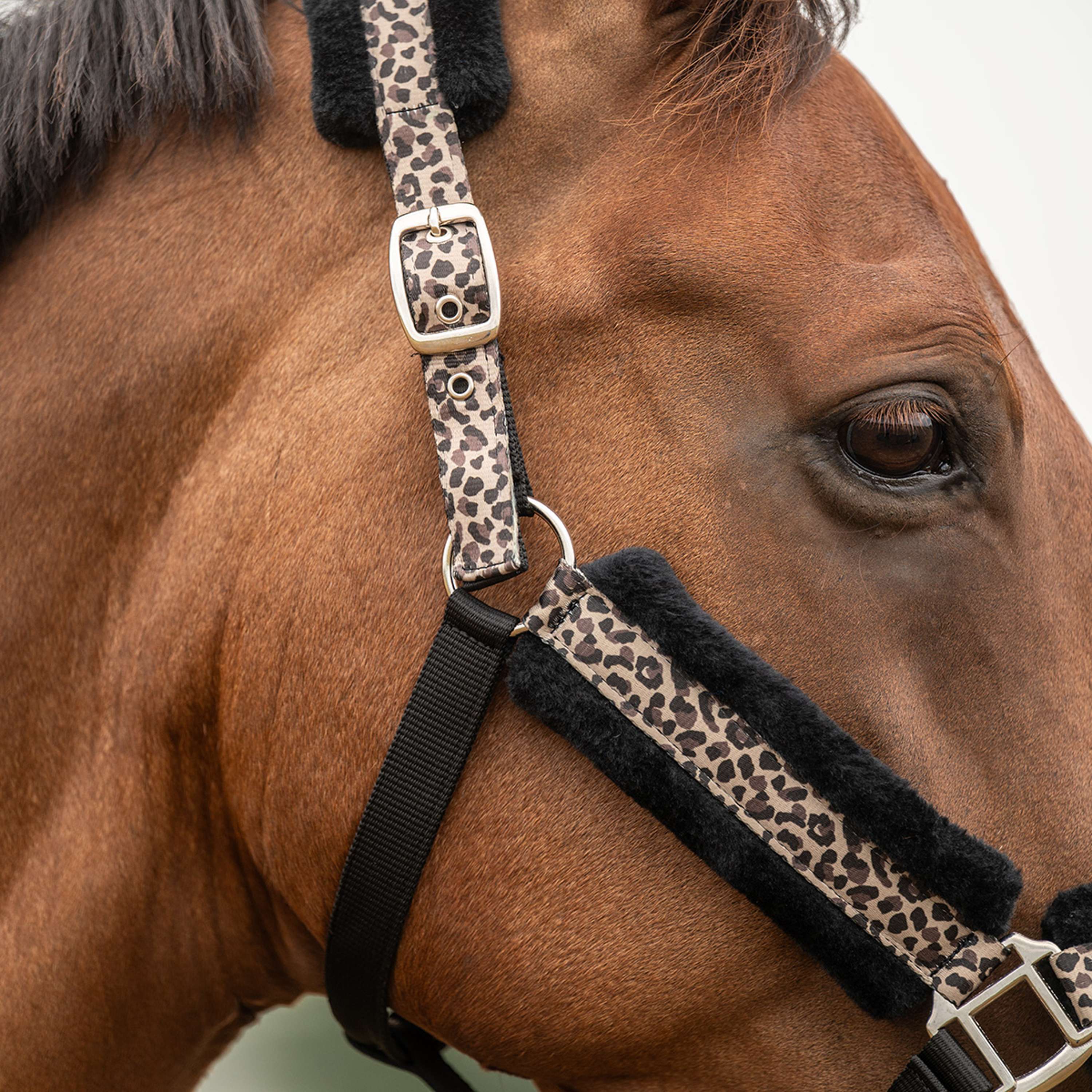 Velder Horsewear Essentials Halfter Savanna Soft Earth Leopard