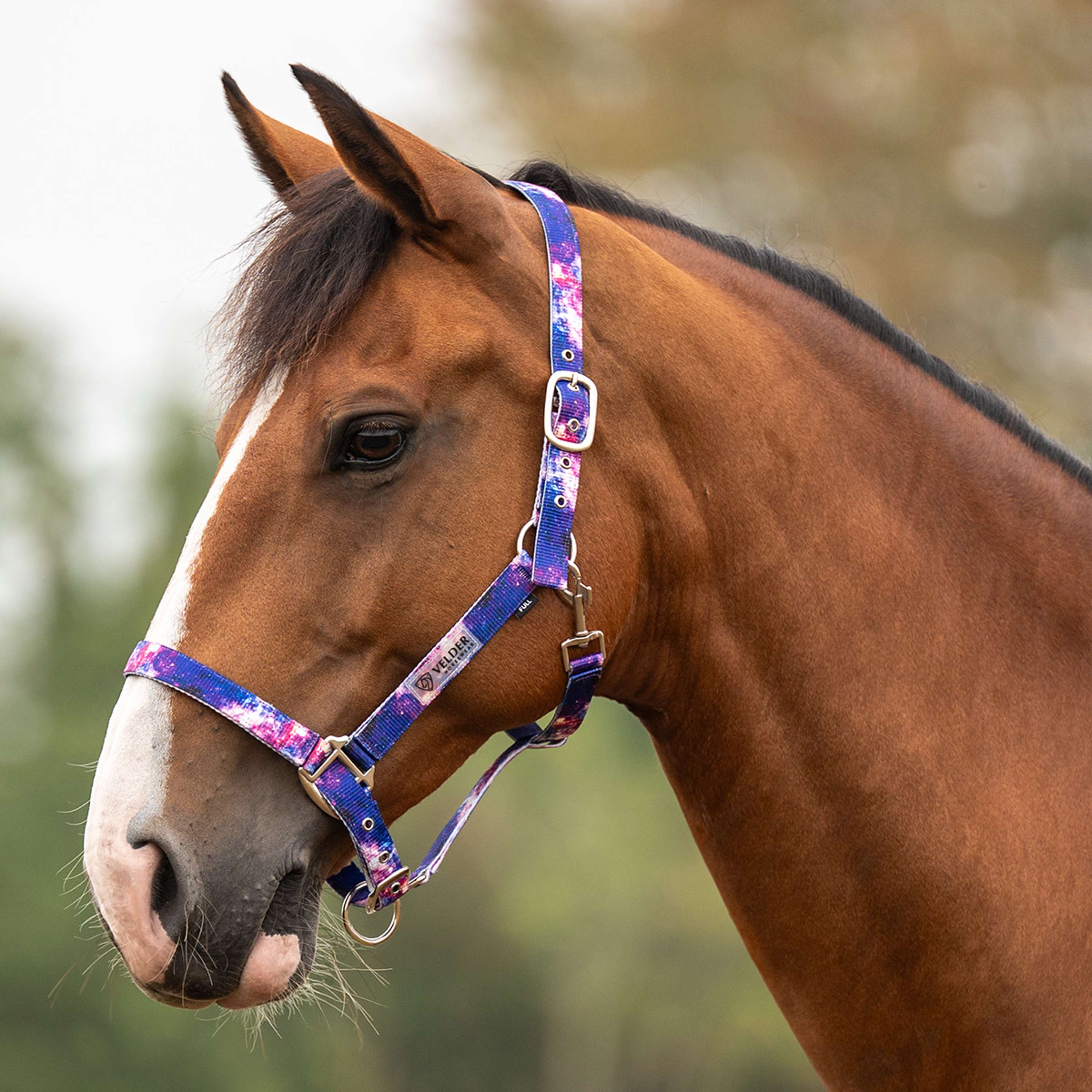 Velder Horsewear Essentials Halfter Galaxy Blau/Rosa