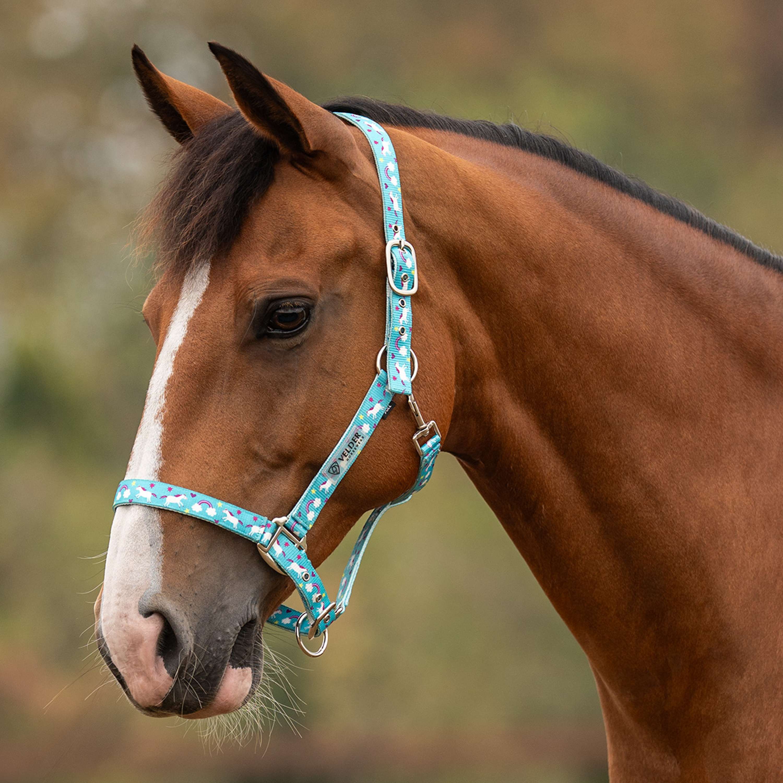 Velder Horsewear Essentials Halfter Unicorn Blau