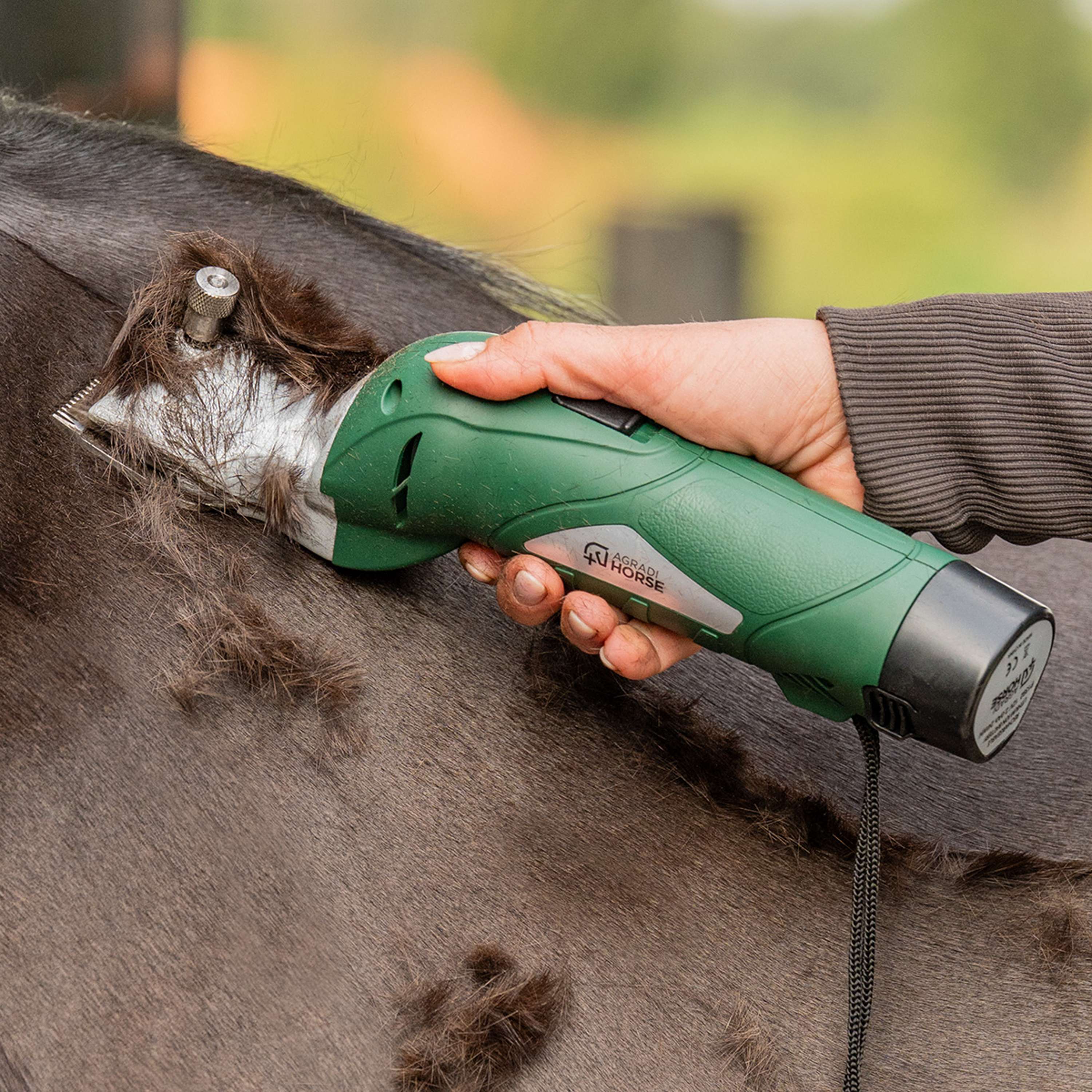 Agradi Horse Akku-Schermaschine HC-2600 Grün