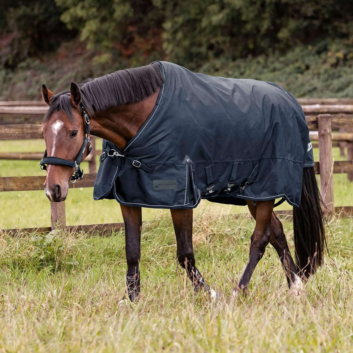 Waldhausen Outdoordecke Scandic Multi-Layer 100/250g Nightblue