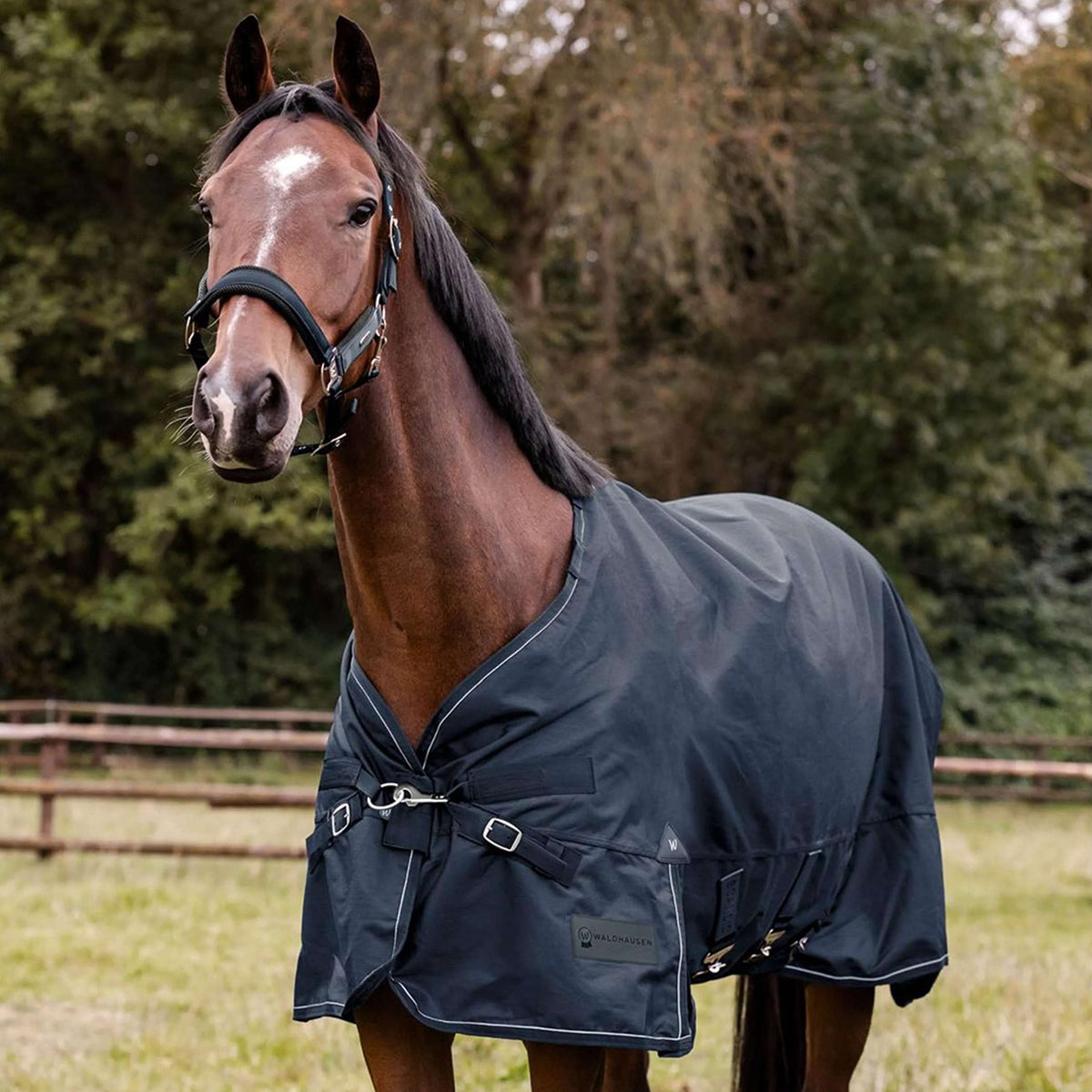 Waldhausen Outdoordecke Scandic Multi-Layer 100/250g Nightblue