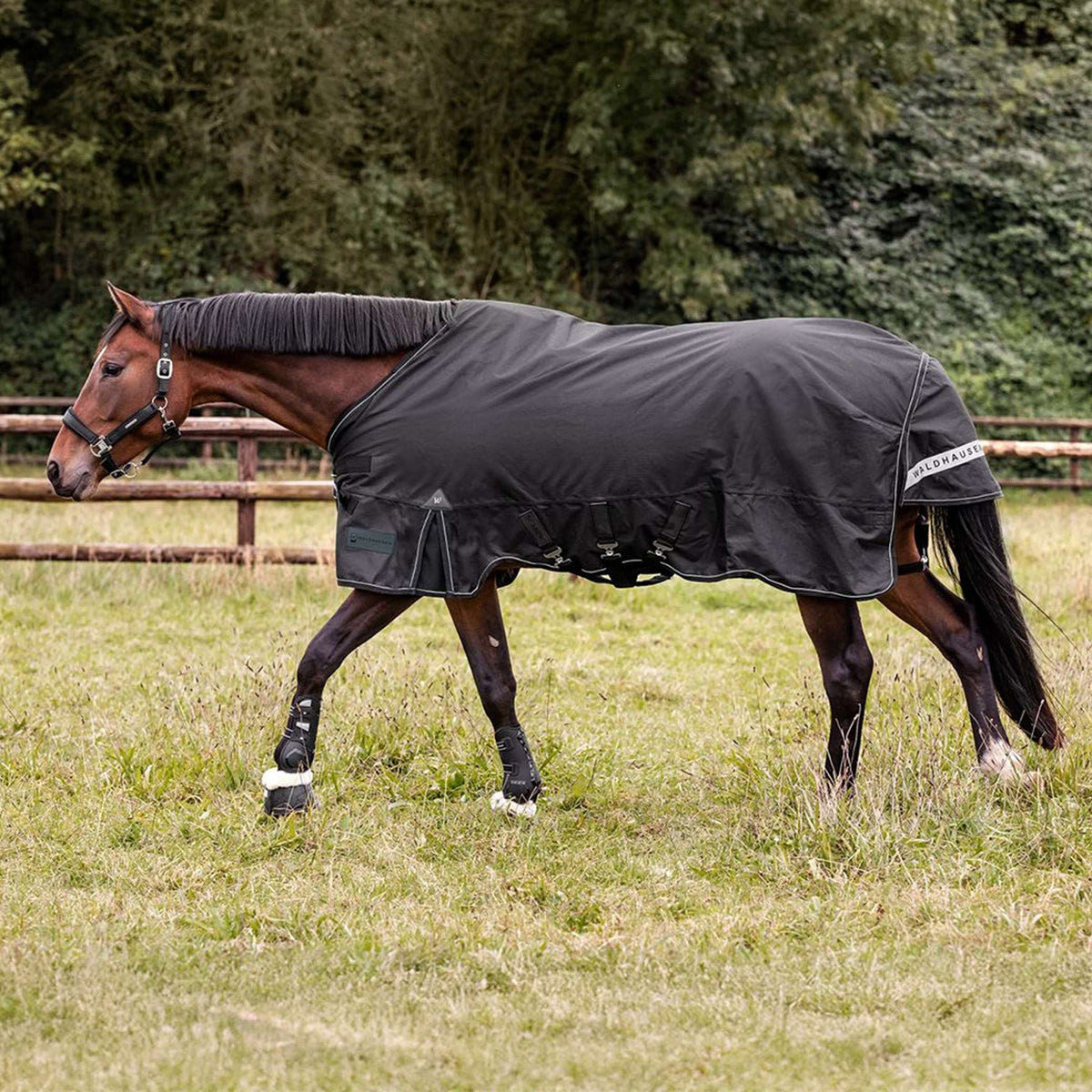 Waldhausen Outdoordecke Scandic Multi-Layer 100/250g Schwarz