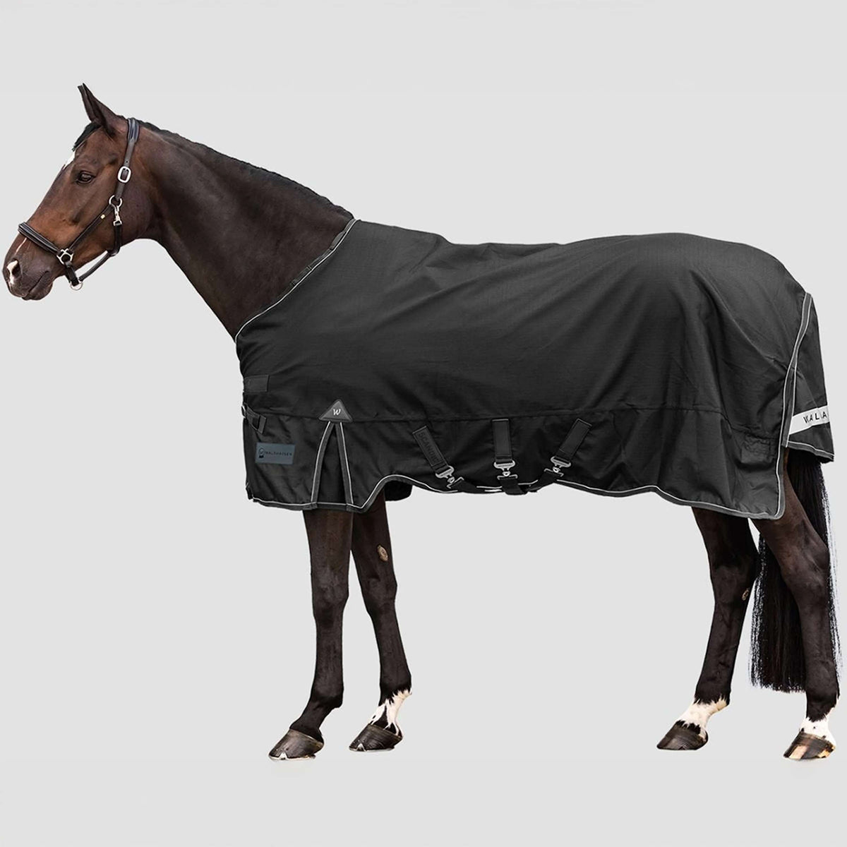 Waldhausen Outdoordecke Scandic Multi-Layer 100/250g Schwarz