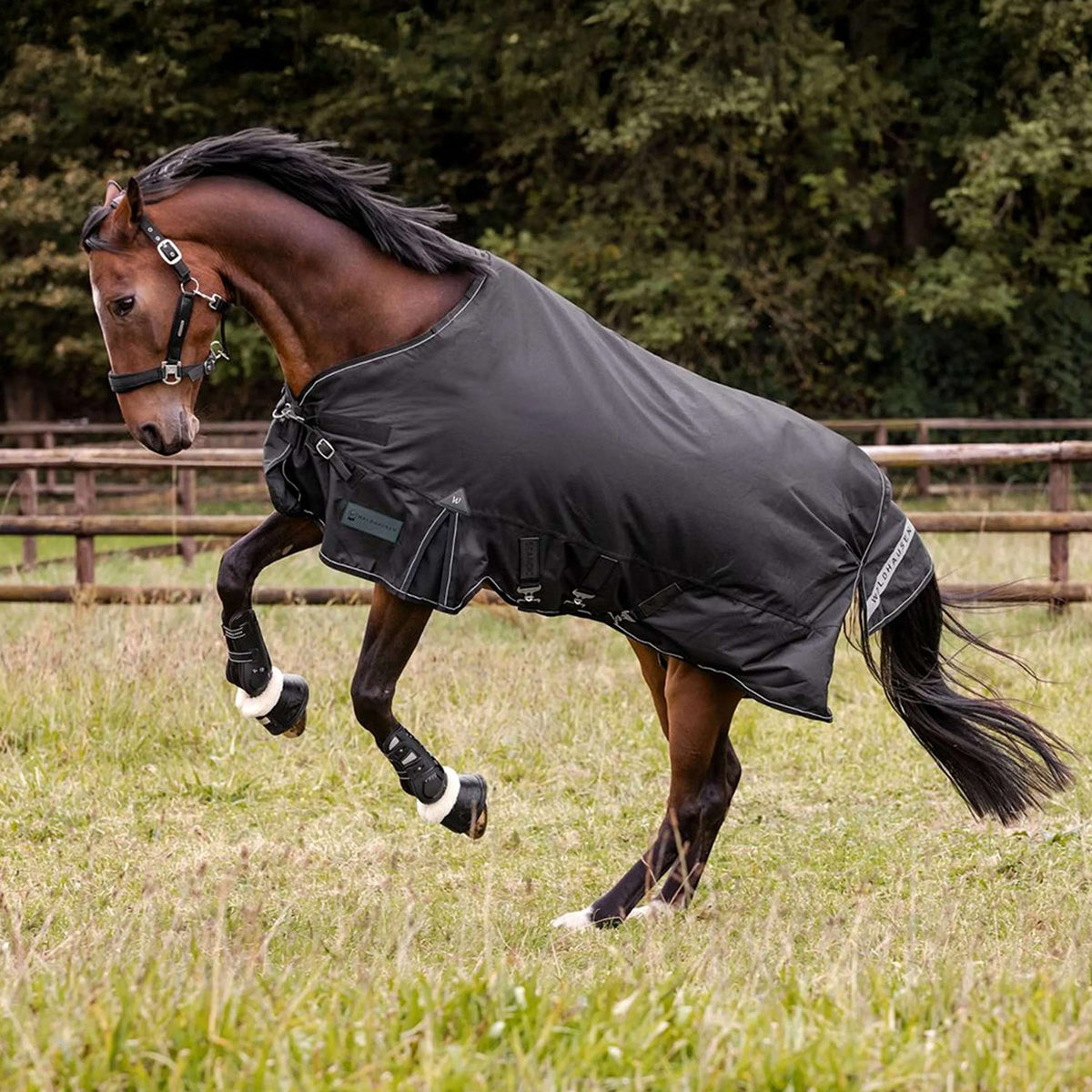 Waldhausen Outdoordecke Scandic Multi-Layer 100/250g Schwarz