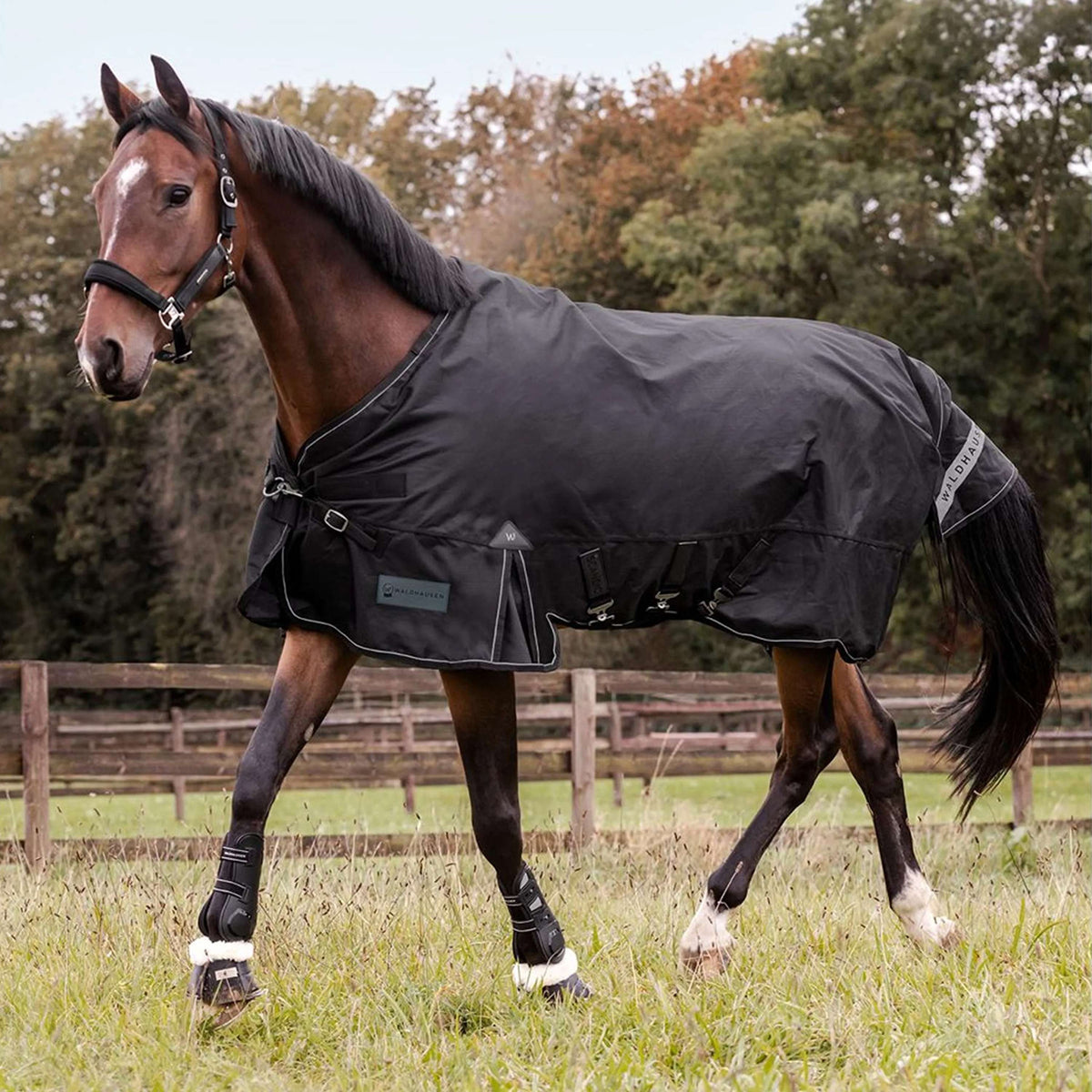 Waldhausen Outdoordecke Scandic Multi-Layer 100/250g Schwarz