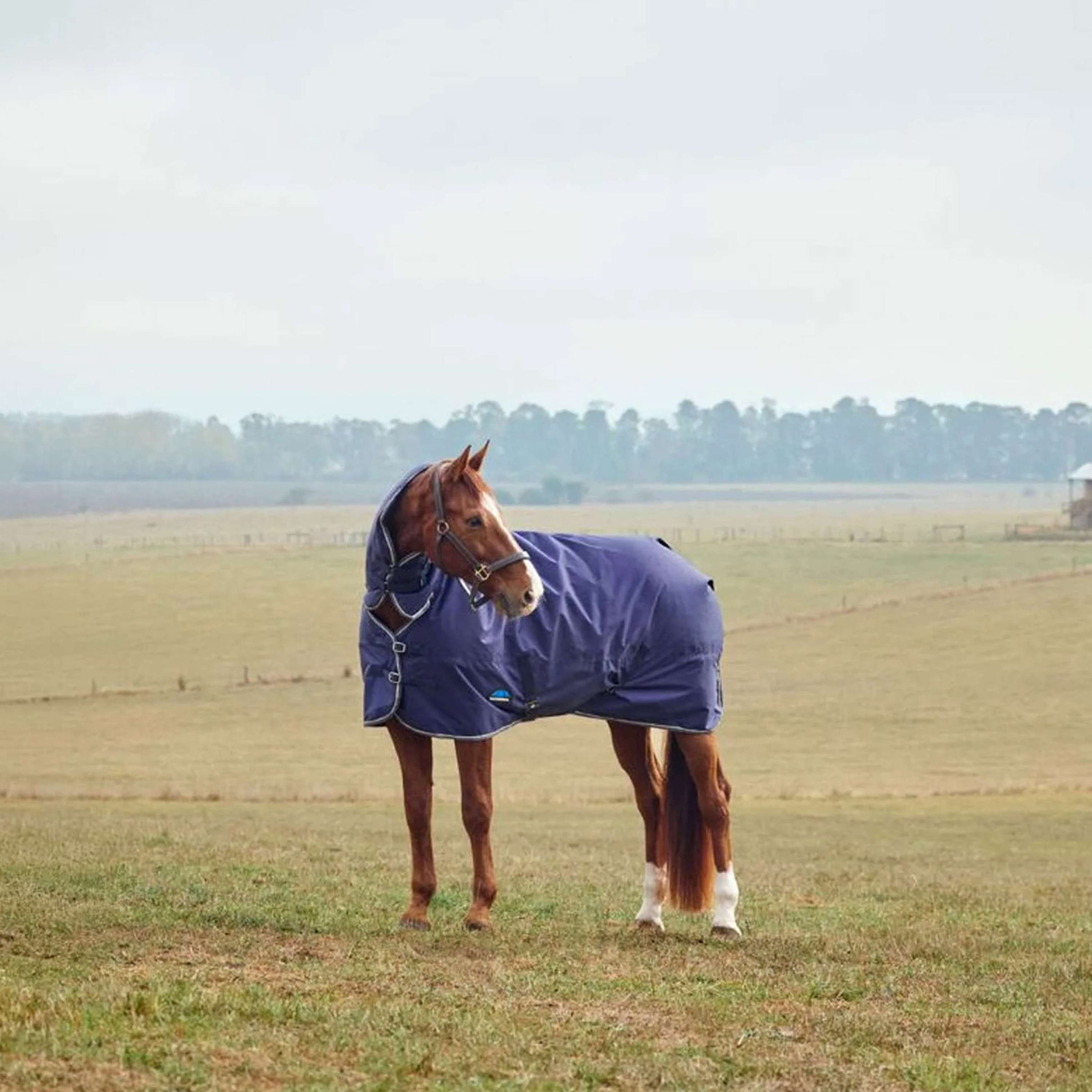 WeatherBeeta ComFiTec Tyro Turnout Combo Neck 50g Navy/Kohle