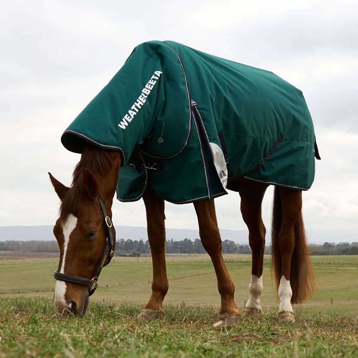 WeatherBeeta ComFiTec Plus Dynamic Turnout Detach-A-Neck 220g Forest Green/Navy