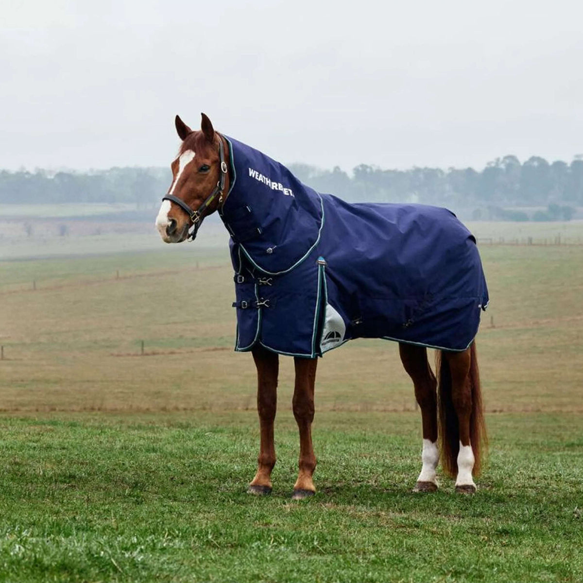 WeatherBeeta ComFiTec Plus Dynamic Turnout Detach-A-Neck 220g Navy/Forest Green