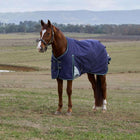 WeatherBeeta ComFiTec Plus Dynamic Turnout 100g Navy/Forest Green