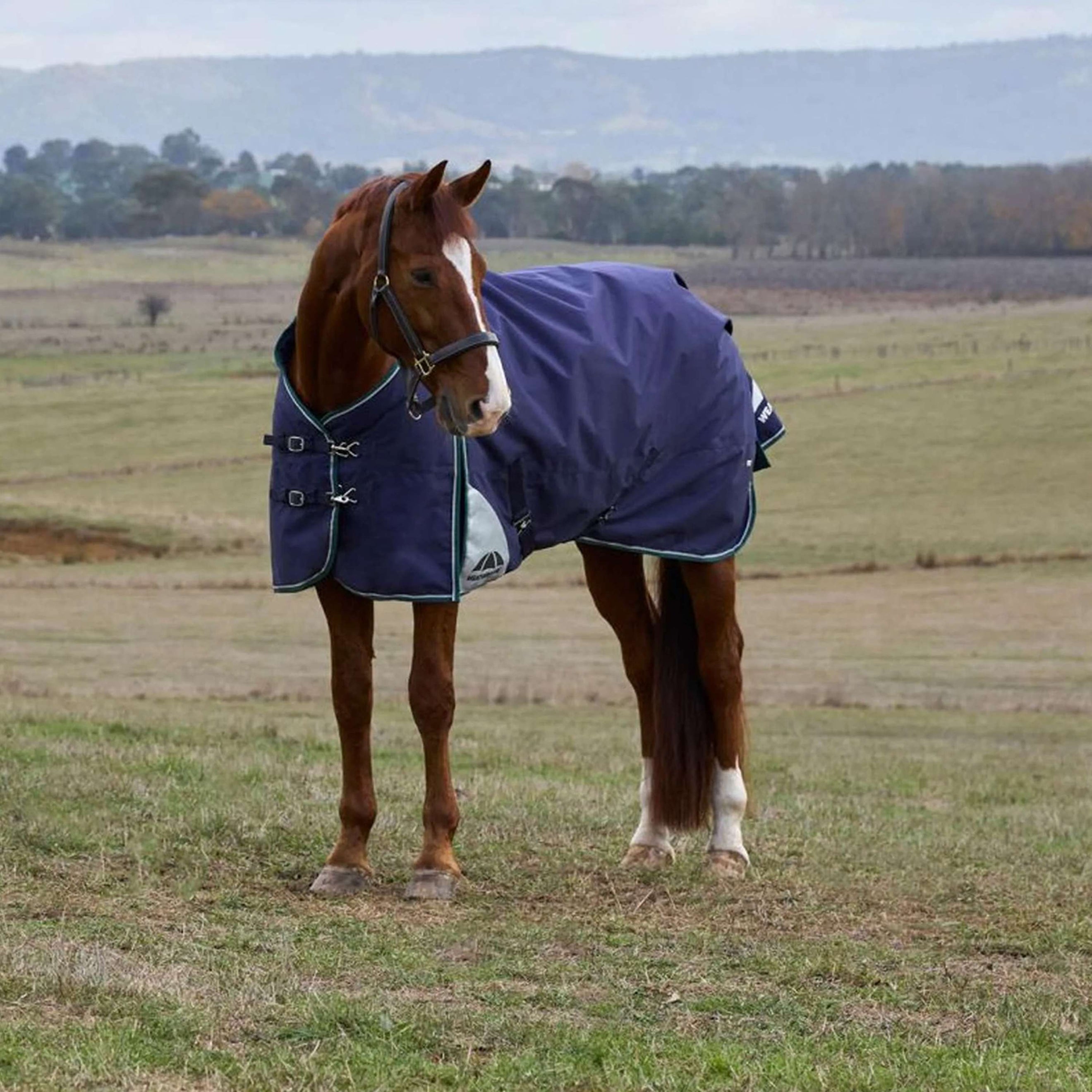 WeatherBeeta ComFiTec Plus Dynamic Turnout 0g Navy/Forest Green WeatherBeeta ComFiTec Plus Dynamic Turnout 0g Navy/Forest Green