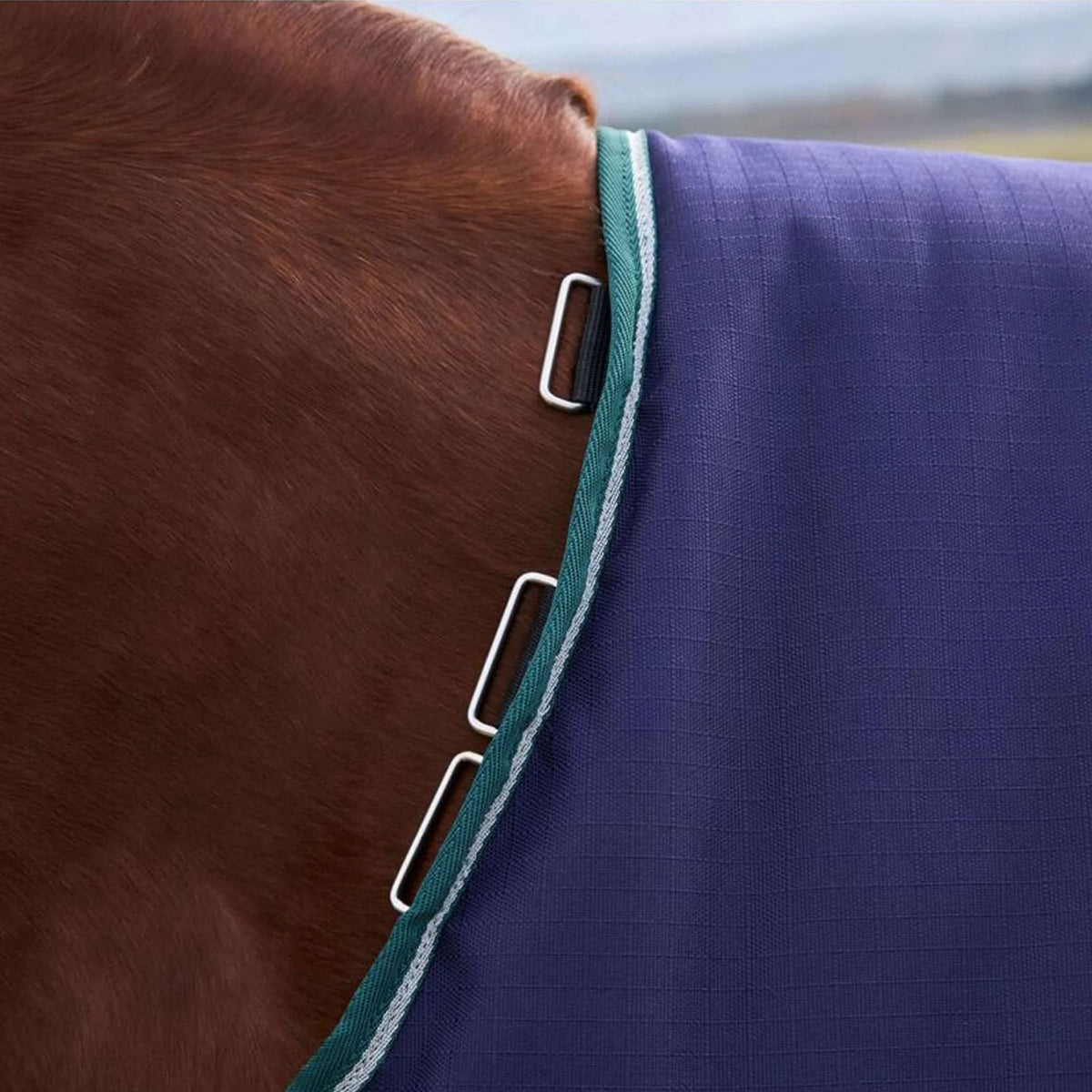 WeatherBeeta ComFiTec Plus Dynamic Turnout 100g Navy/Forest Green